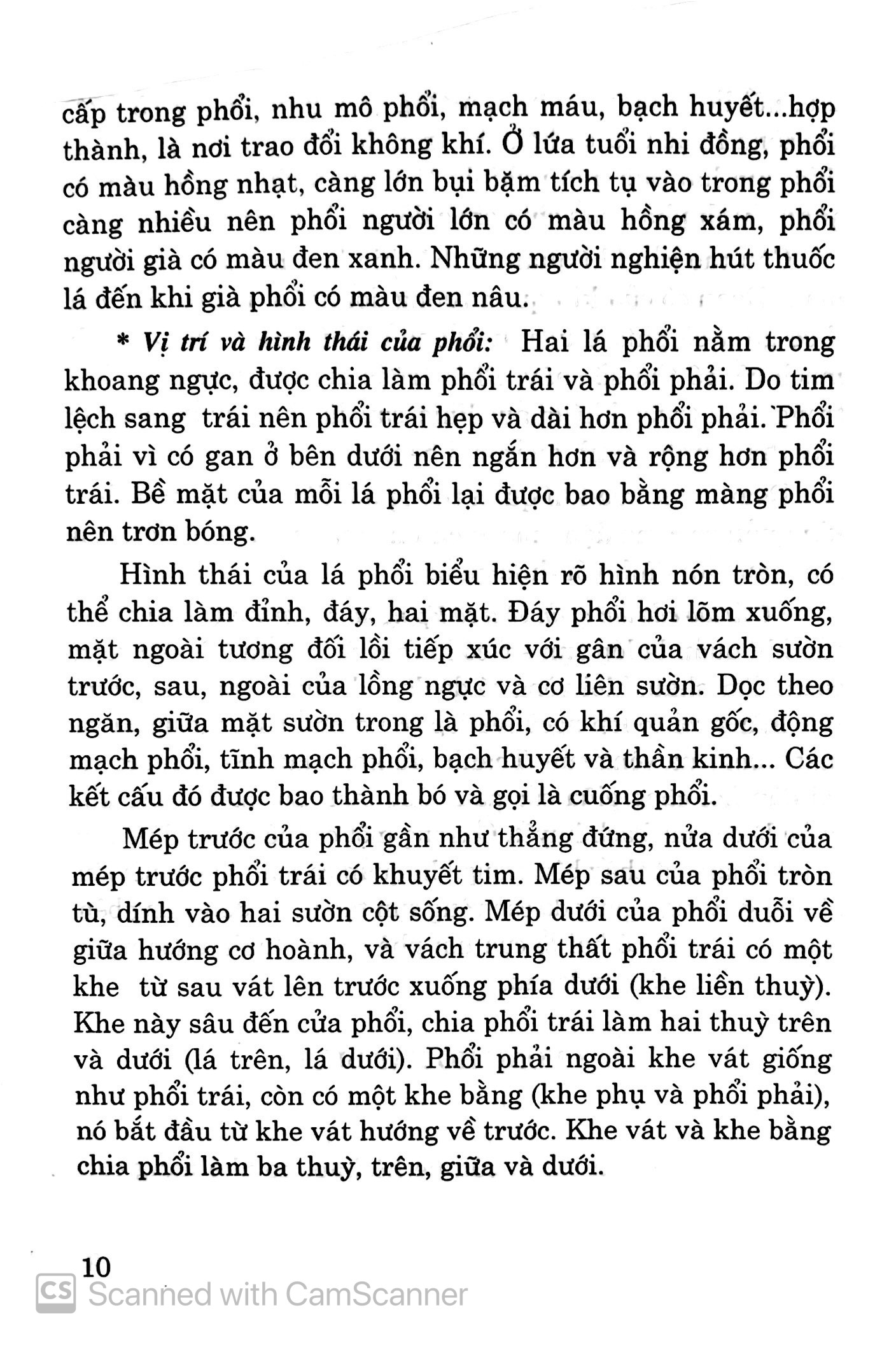 Bệnh Hô Hấp - Cây Thuốc Vị Thuốc Phòng Và Chữa Bệnh PDF đọc ebook online, epub online, nghe sách nói audio miễn phí.