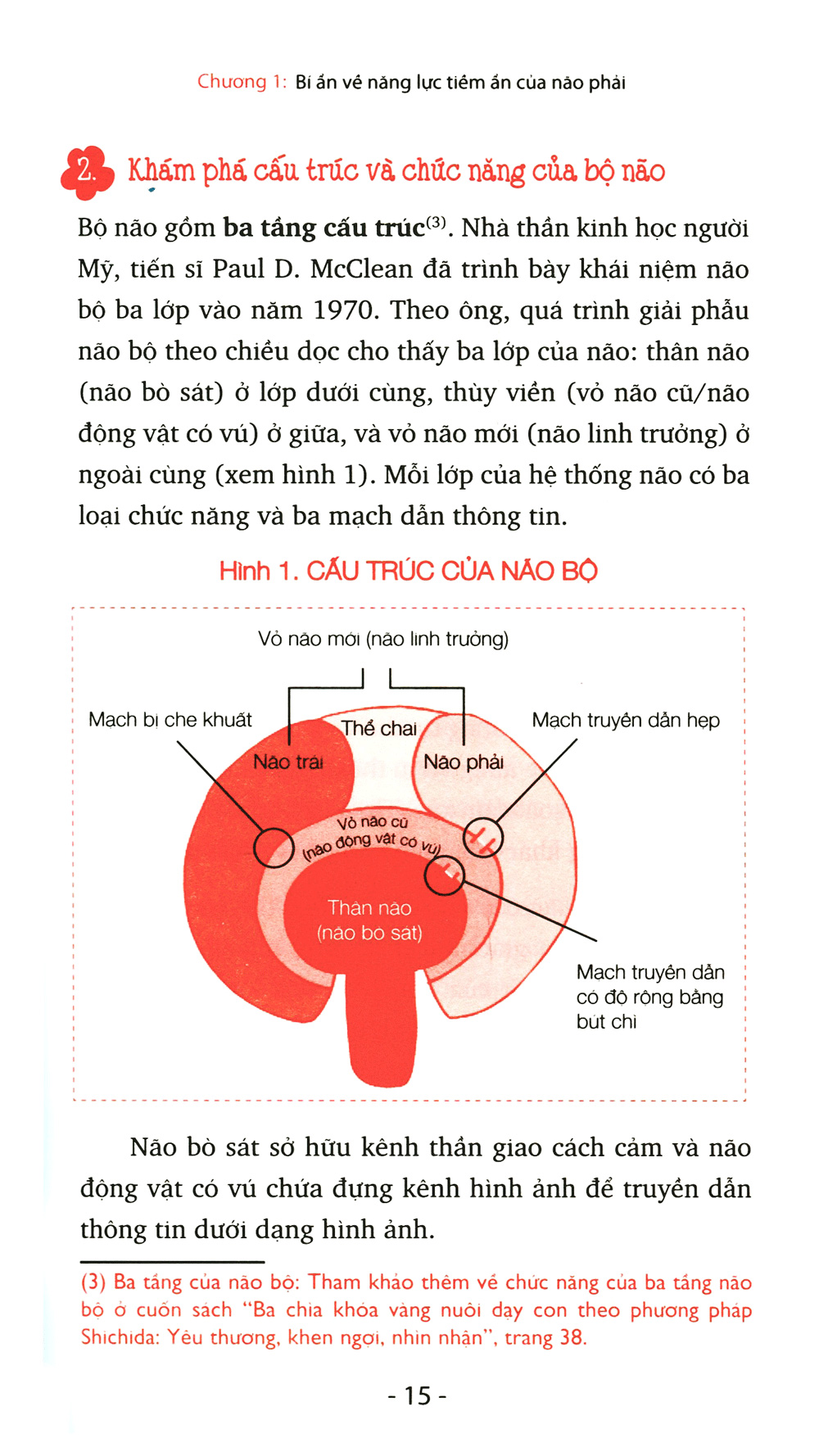 Bí Ẩn Của Não Phải PDF đọc ebook online, epub online, nghe sách nói audio miễn phí.