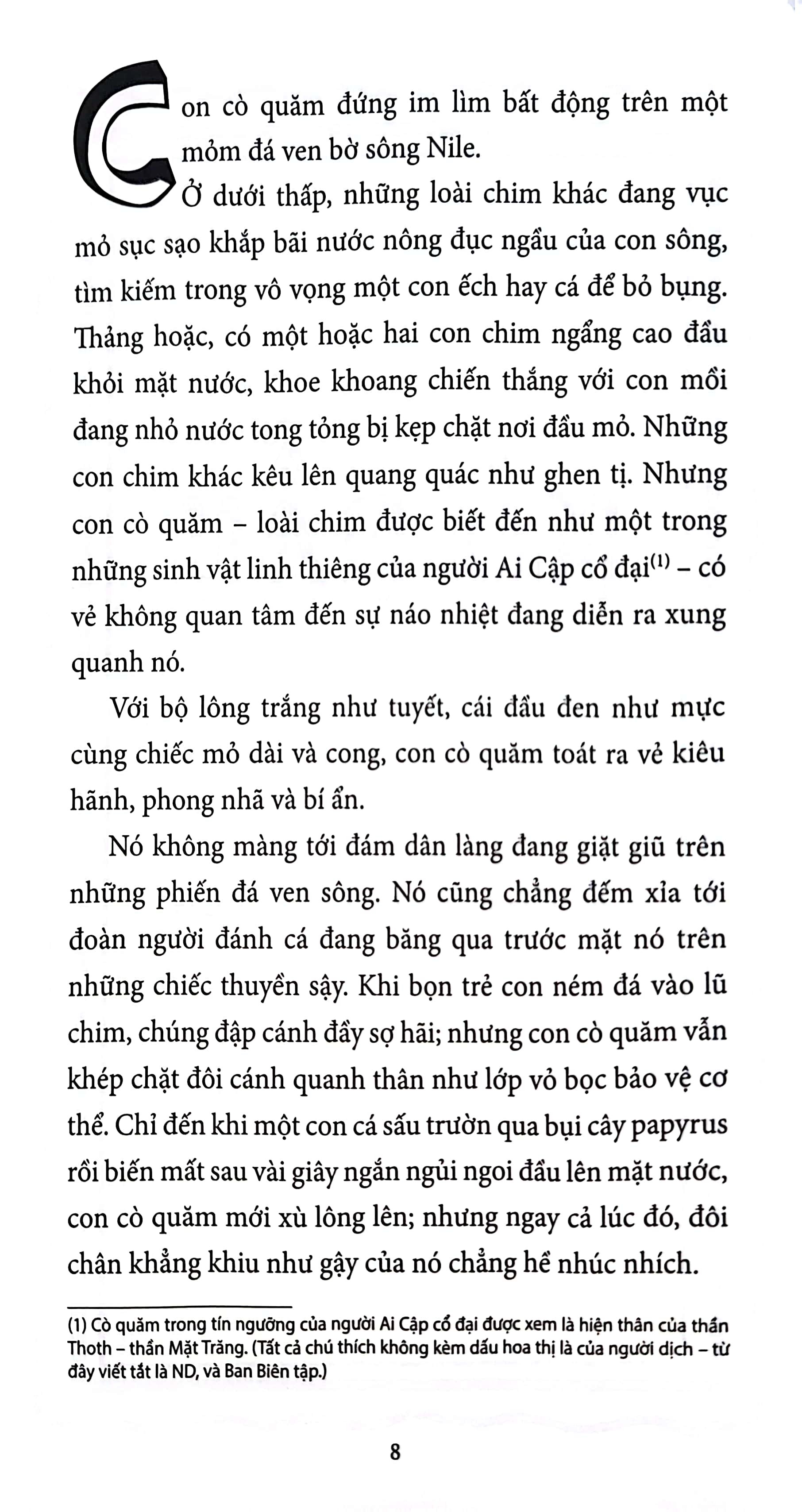 Bí Mật - Tập 5 - Bạn Phải Chấm Dứt Việc Này Đi PDF đọc ebook online, epub online, nghe sách nói audio miễn phí.