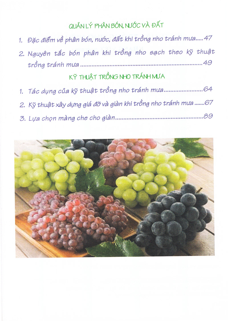 Tải sách Bí Quyết Thành Công Kĩ Thuật Trồng Nho Hiệu Quả PDF đọc ebook online, epub online, nghe sách nói audio miễn phí.