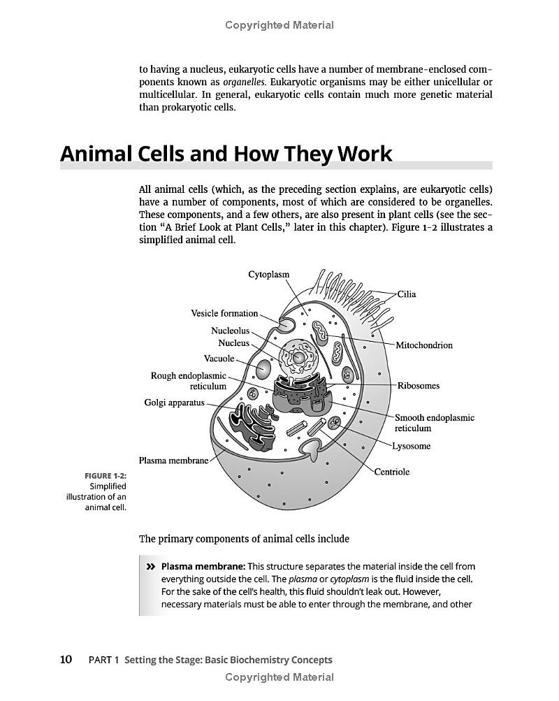Biochemistry For Dummies 3rd Edtion FAHASA COM