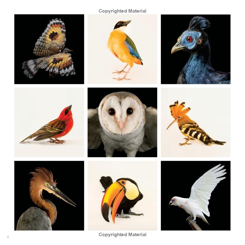 Birds Of The Photo Ark - FAHASA.COM