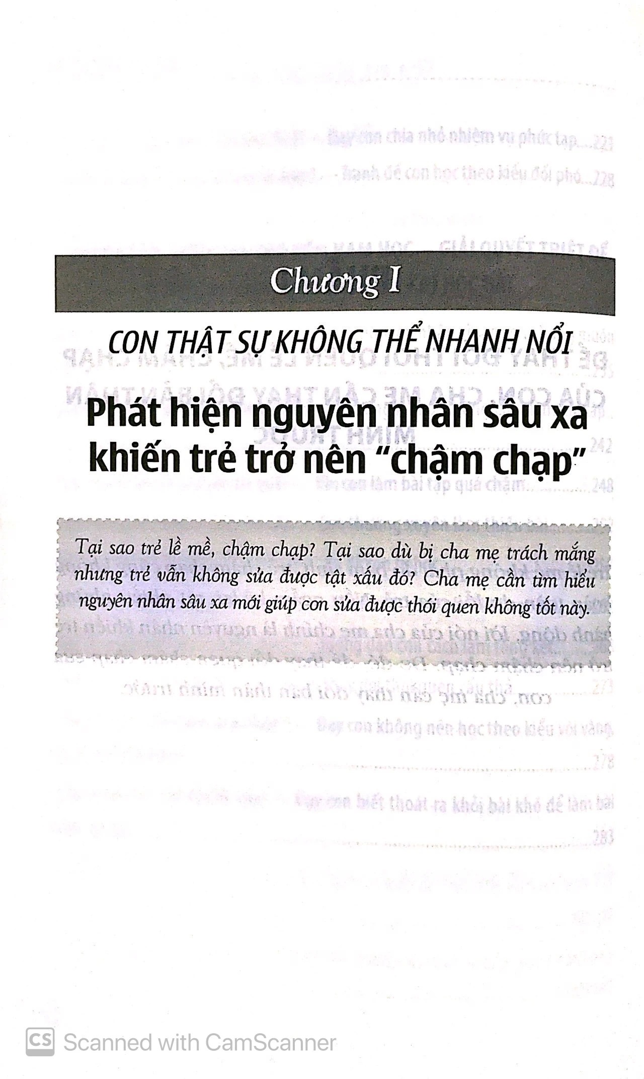 Bộ Sách Cha Mẹ Làm Gì Cho Con: Khi Con Chậm Chạp Tạo Hứng Thú Cho Con Giúp Con Vững Bước Trưởng Thành PDF