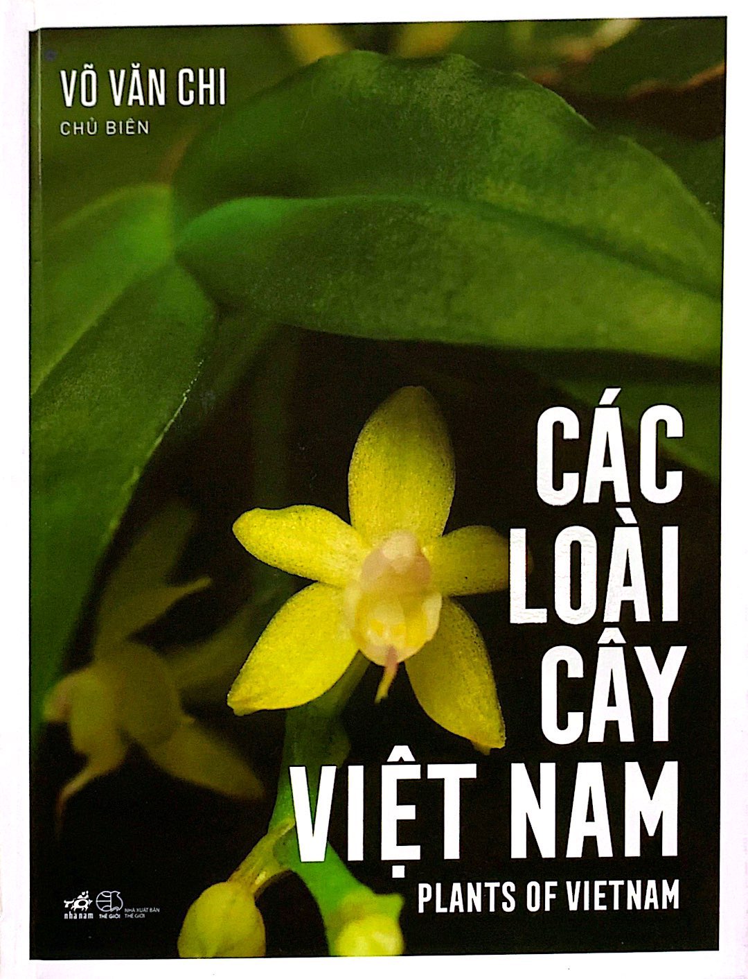 Các Loài Cây Việt Nam - Plants Of Vietnam PDF đọc ebook online, epub online, nghe sách nói audio miễn phí. Tải sách Các Loài Cây Việt Nam - Plants Of Vietnam PDF đọc ebook online, epub online, nghe sách nói audio miễn phí.