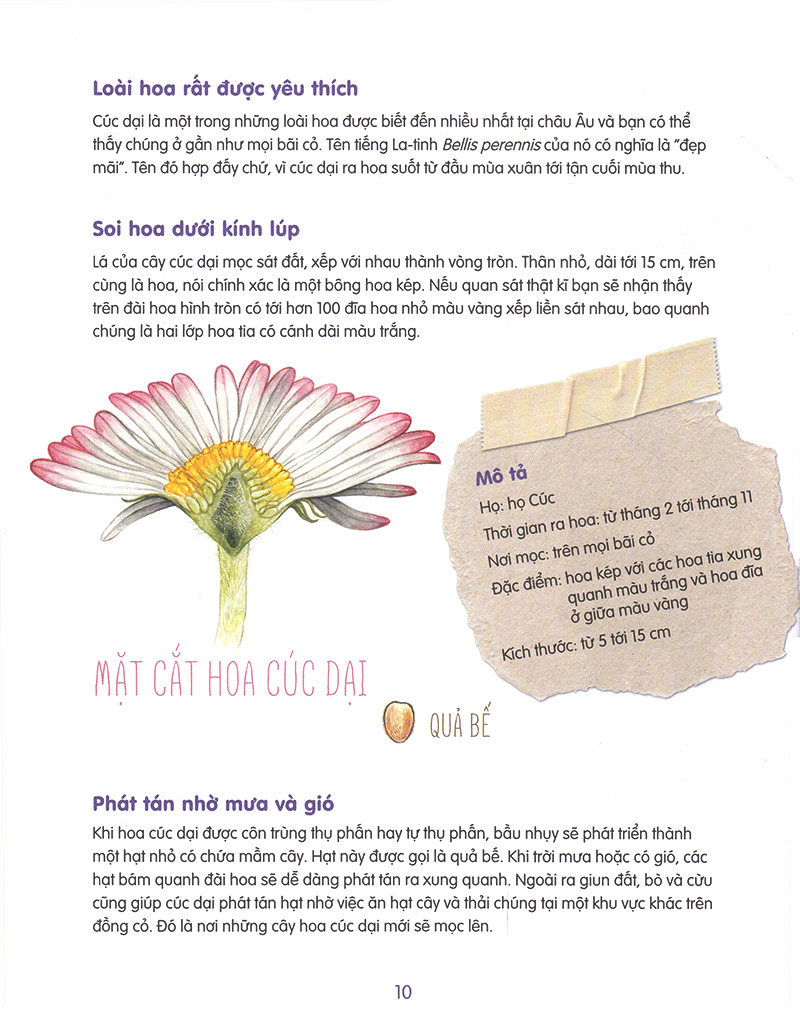Cẩm Nang Cho Bạn Yêu Hoa - Phép Màu Từ Hoa Cỏ PDF Cẩm Nang Cho Bạn Yêu Hoa - Phép Màu Từ Hoa Cỏ PDF