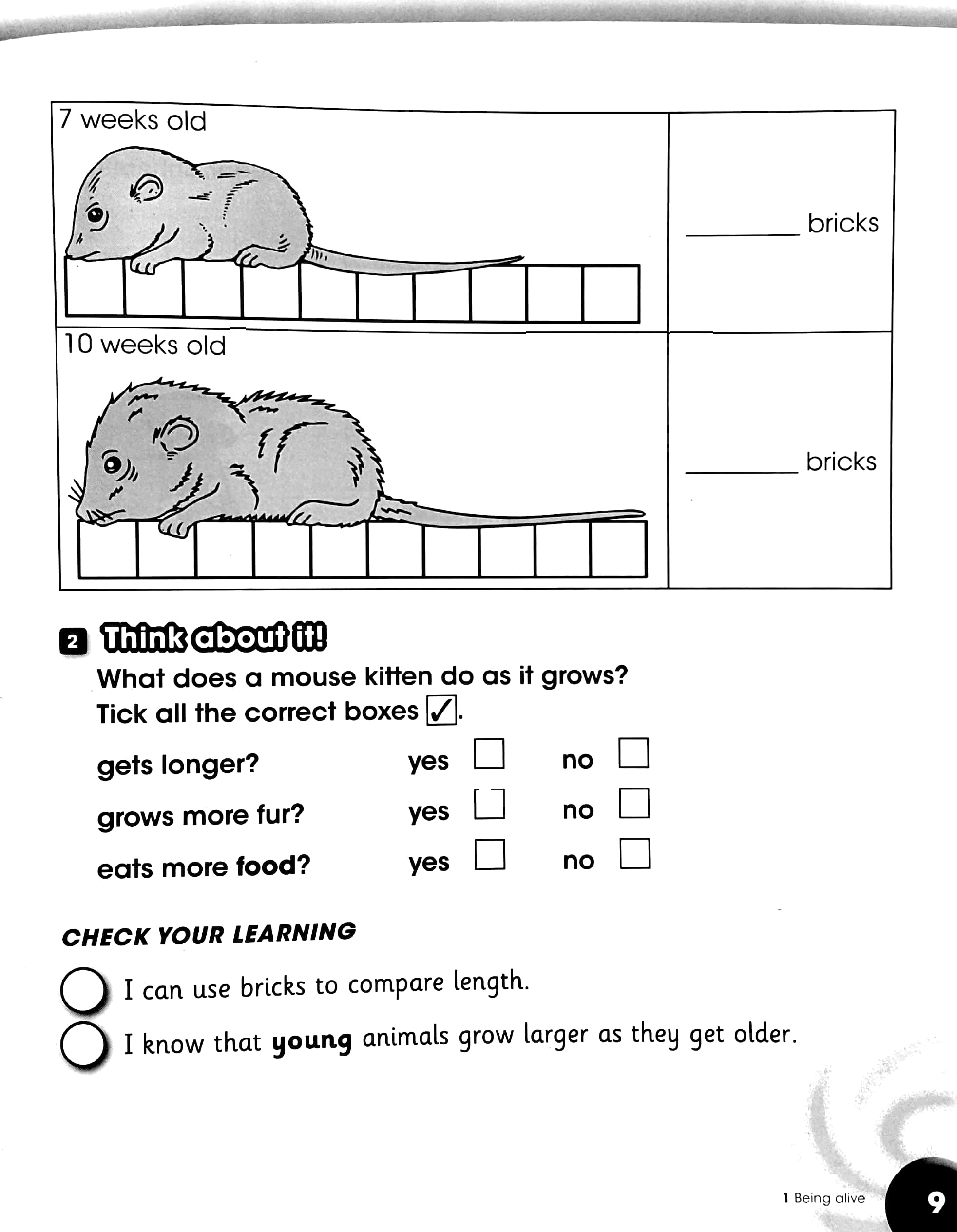 cambridge primary science challenge 1