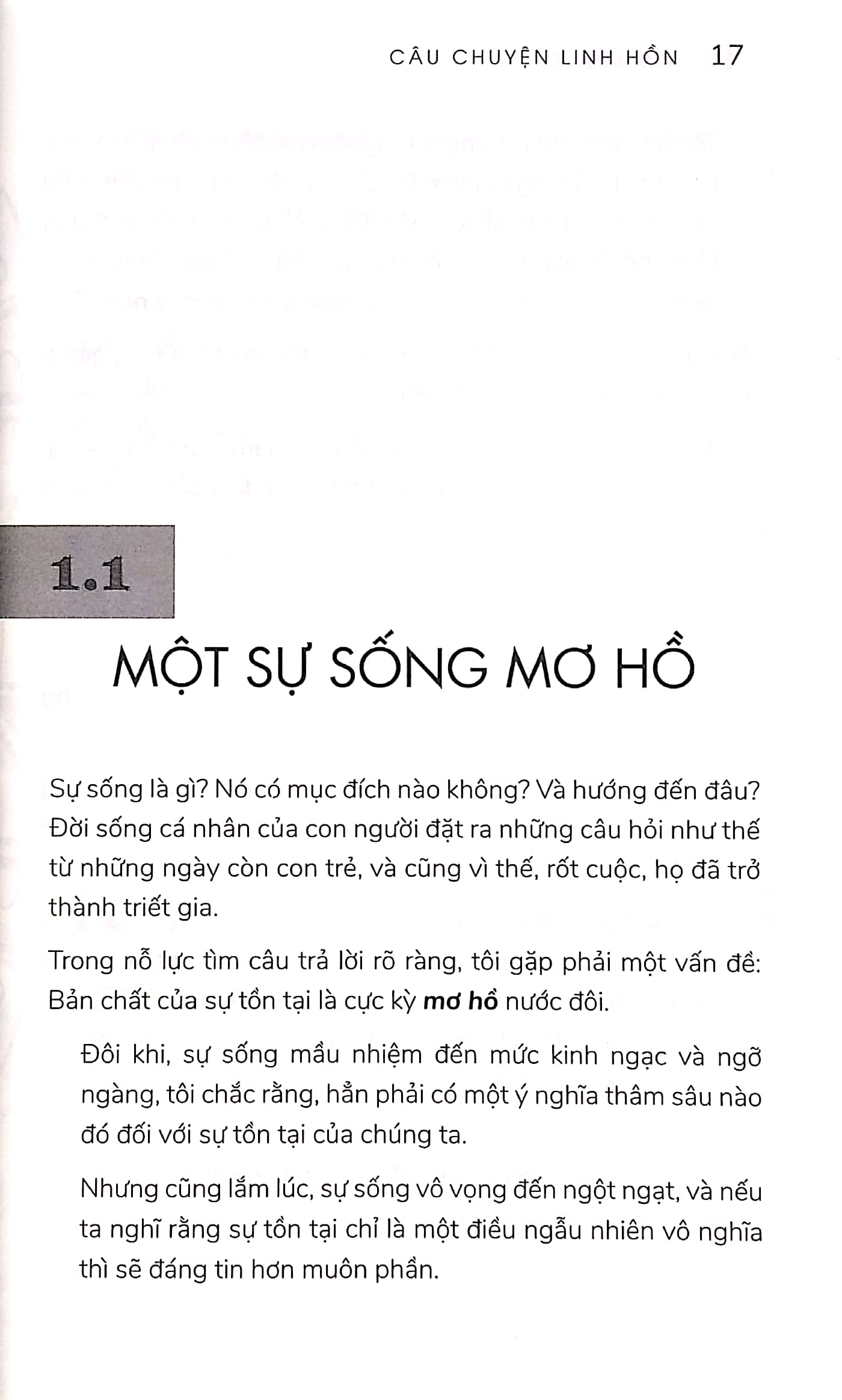 Tải sách Câu Chuyện Linh Hồn - Chuyến Du Ngoạn Kỳ Bí Và Mầu Nhiệm Về Mục Đích Cuộc Đời PDF đọc ebook online, epub online, nghe sách nói audio miễn phí.