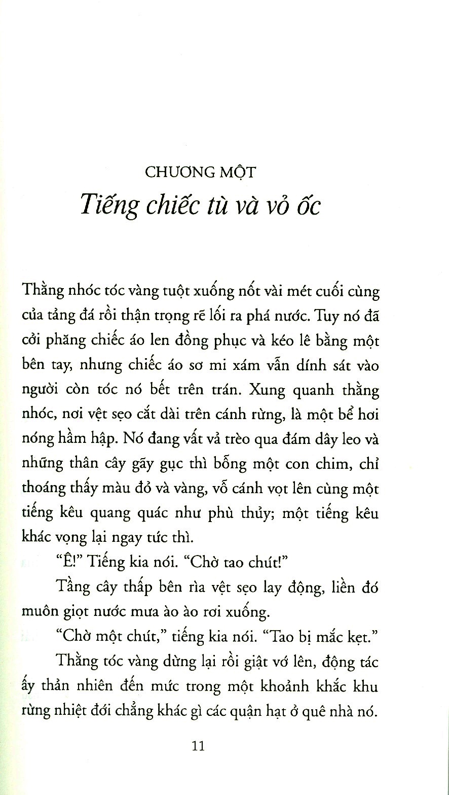 Chúa Ruồi PDF