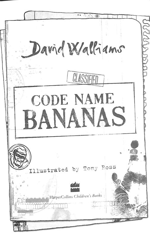 Code Name Bananas