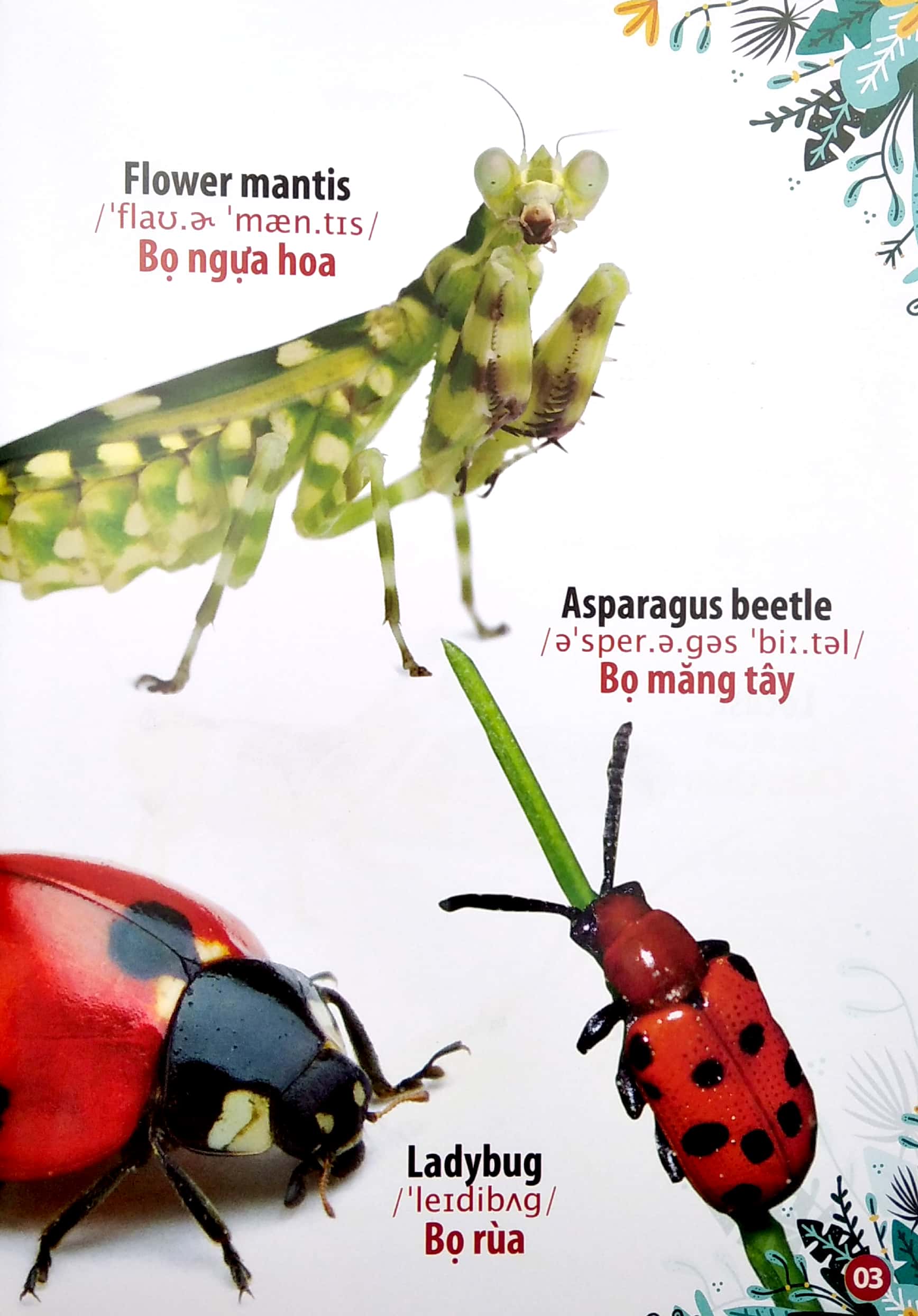 Thư Viện Hình Ảnh Song Ngữ Đầu Tiên Của Bé - Côn Trùng Và Bò Sát PDF đọc ebook online, epub online, nghe sách nói audio miễn phí. Thư Viện Hình Ảnh Song Ngữ Đầu Tiên Của Bé - Côn Trùng Và Bò Sát PDF đọc ebook online, epub online, nghe sách nói audio miễn phí.