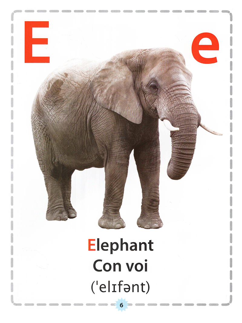 Cùng Học Bảng Chữ Cái Về Động Vật Và Chim Chóc PDF Cùng Học Bảng Chữ Cái Về Động Vật Và Chim Chóc PDF