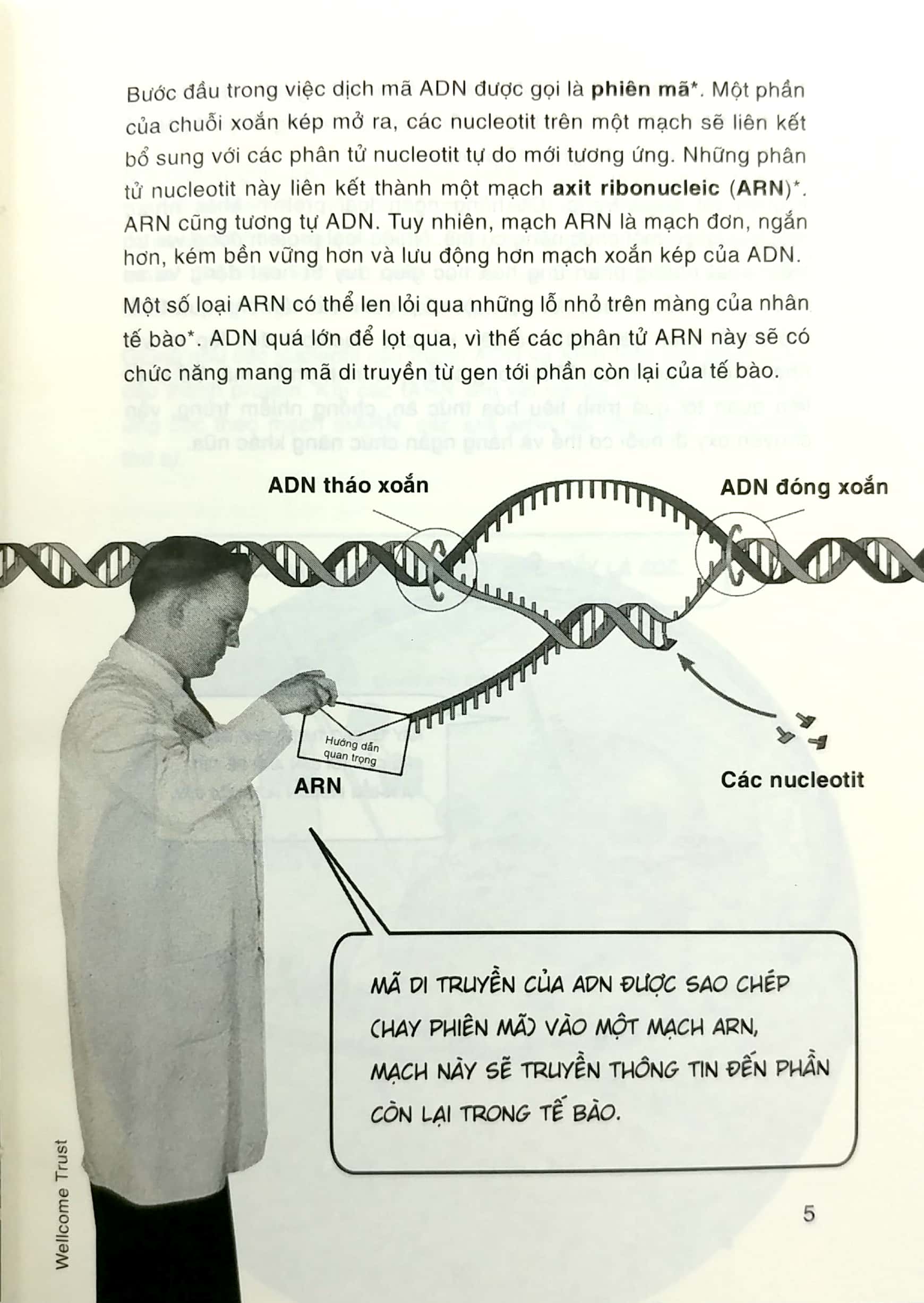 Dẫn Nhập Ngắn Về Khoa Học - Di Truyền Học Biểu Sinh: Minh Họa Sinh Động Bằng Tranh PDF Dẫn Nhập Ngắn Về Khoa Học - Di Truyền Học Biểu Sinh: Minh Họa Sinh Động Bằng Tranh PDF