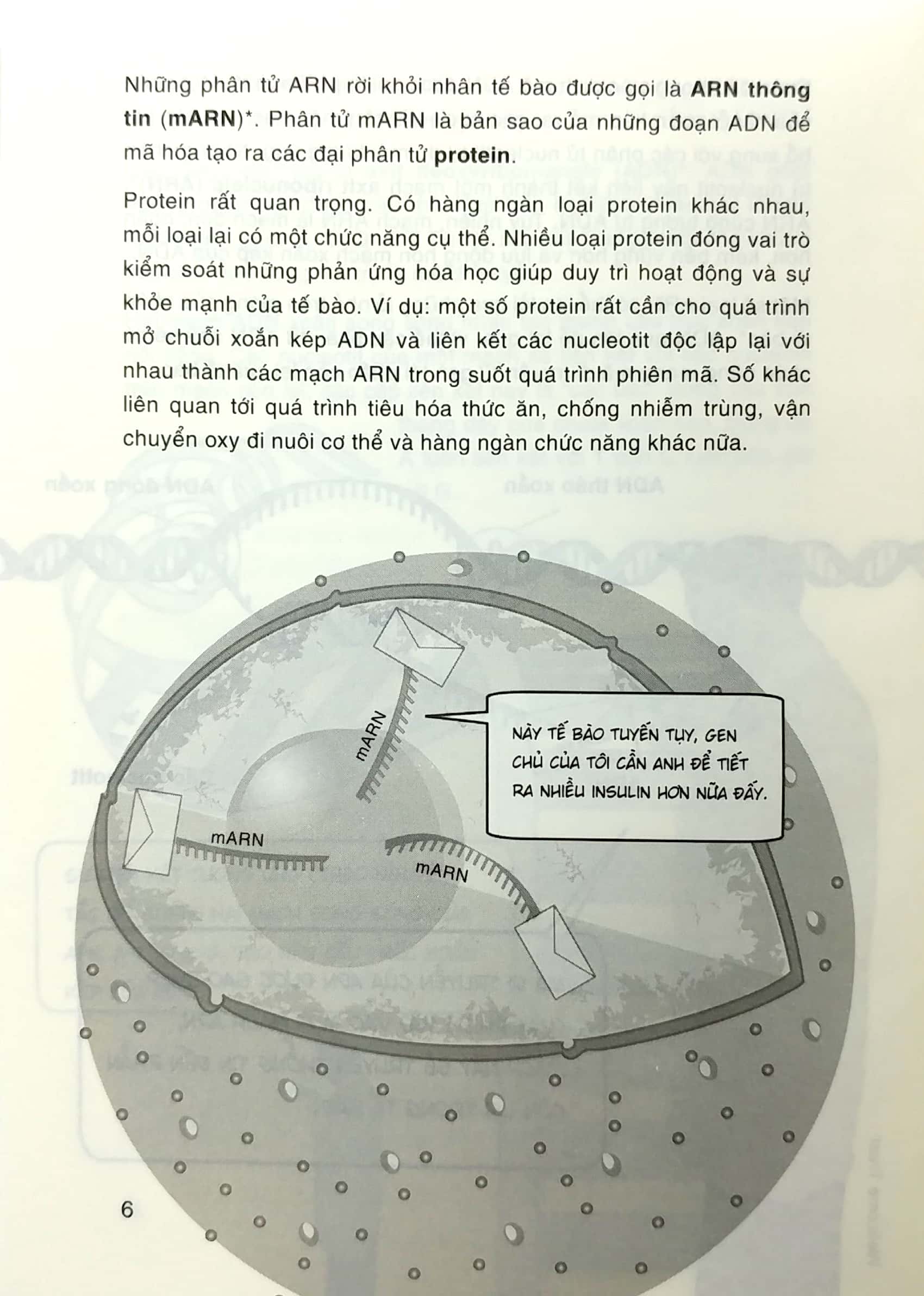 Dẫn Nhập Ngắn Về Khoa Học - Di Truyền Học Biểu Sinh: Minh Họa Sinh Động Bằng Tranh PDF Dẫn Nhập Ngắn Về Khoa Học - Di Truyền Học Biểu Sinh: Minh Họa Sinh Động Bằng Tranh PDF