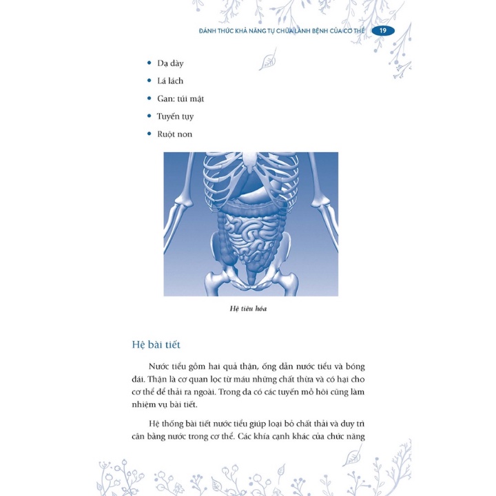 Đánh Thức Khả Năng Tự Chữa Lành Bệnh Của Cơ Thể PDF