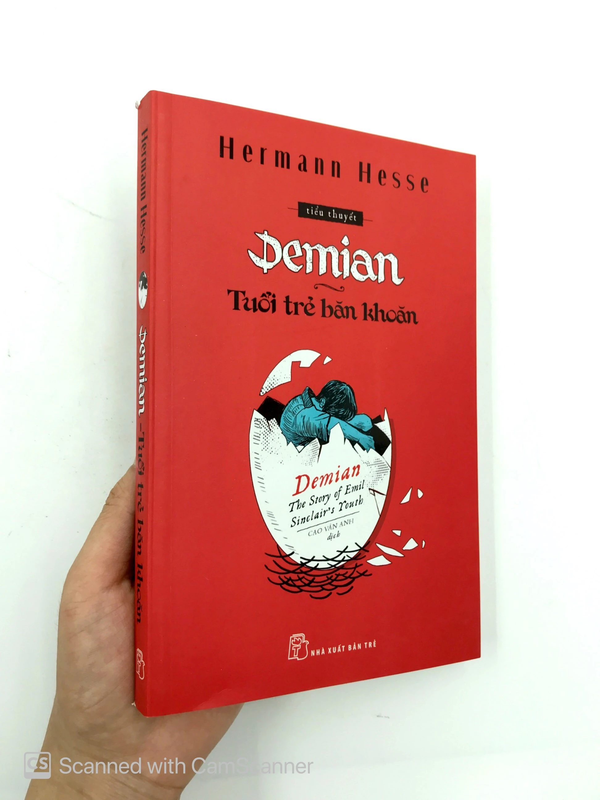 Sách Demian - Tuổi Trẻ Băn Khoăn - FAHASA.COM