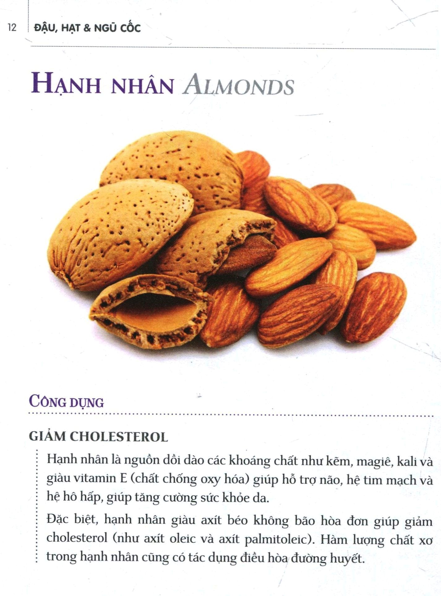 Dinh Dưỡng Chữa Bệnh - Đậu, Hạt & Ngũ Cốc PDF Dinh Dưỡng Chữa Bệnh - Đậu, Hạt & Ngũ Cốc PDF