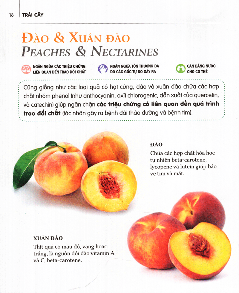 Dinh Dưỡng Chữa Bệnh - Trái Cây PDF đọc ebook online, epub online, nghe sách nói audio miễn phí. Tải sách Dinh Dưỡng Chữa Bệnh - Trái Cây PDF đọc ebook online, epub online, nghe sách nói audio miễn phí.