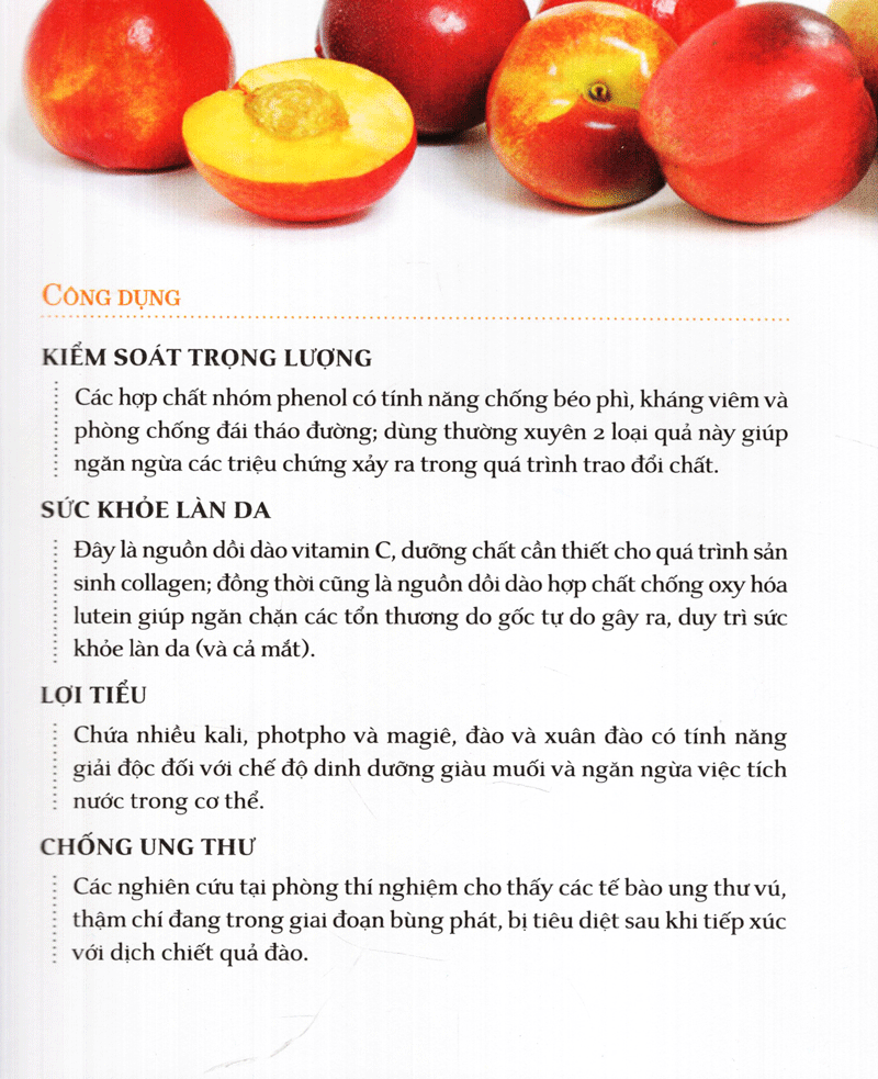 Dinh Dưỡng Chữa Bệnh - Trái Cây PDF đọc ebook online, epub online, nghe sách nói audio miễn phí. Tải sách Dinh Dưỡng Chữa Bệnh - Trái Cây PDF đọc ebook online, epub online, nghe sách nói audio miễn phí.