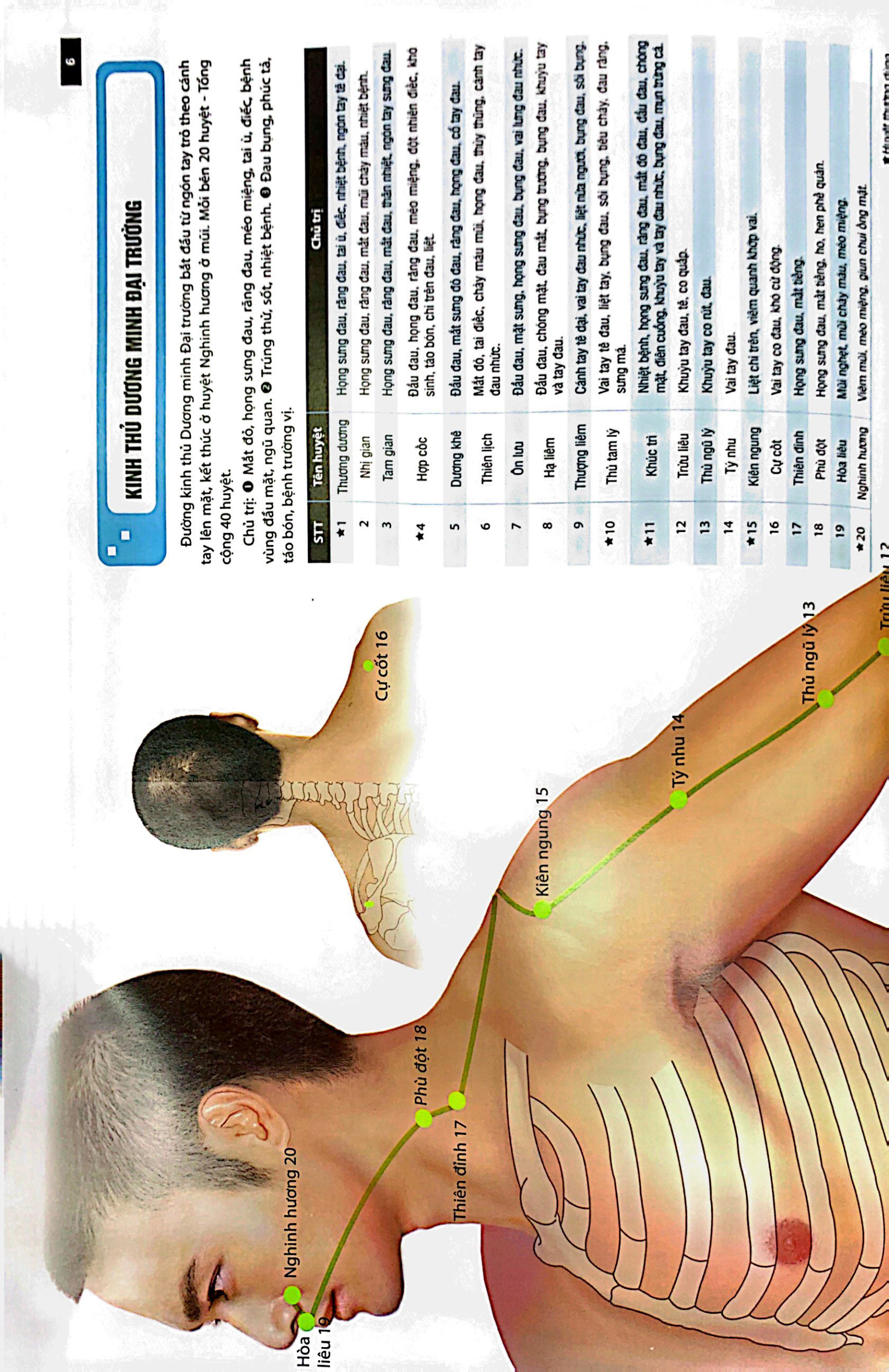 Đồ Giải Kinh Lạc Huyệt Vị - Nam Giới (Tái Bản 2023 ) PDF đọc ebook online, epub online, nghe sách nói audio miễn phí. Đồ Giải Kinh Lạc Huyệt Vị - Nam Giới (Tái Bản 2023 ) PDF đọc ebook online, epub online, nghe sách nói audio miễn phí.