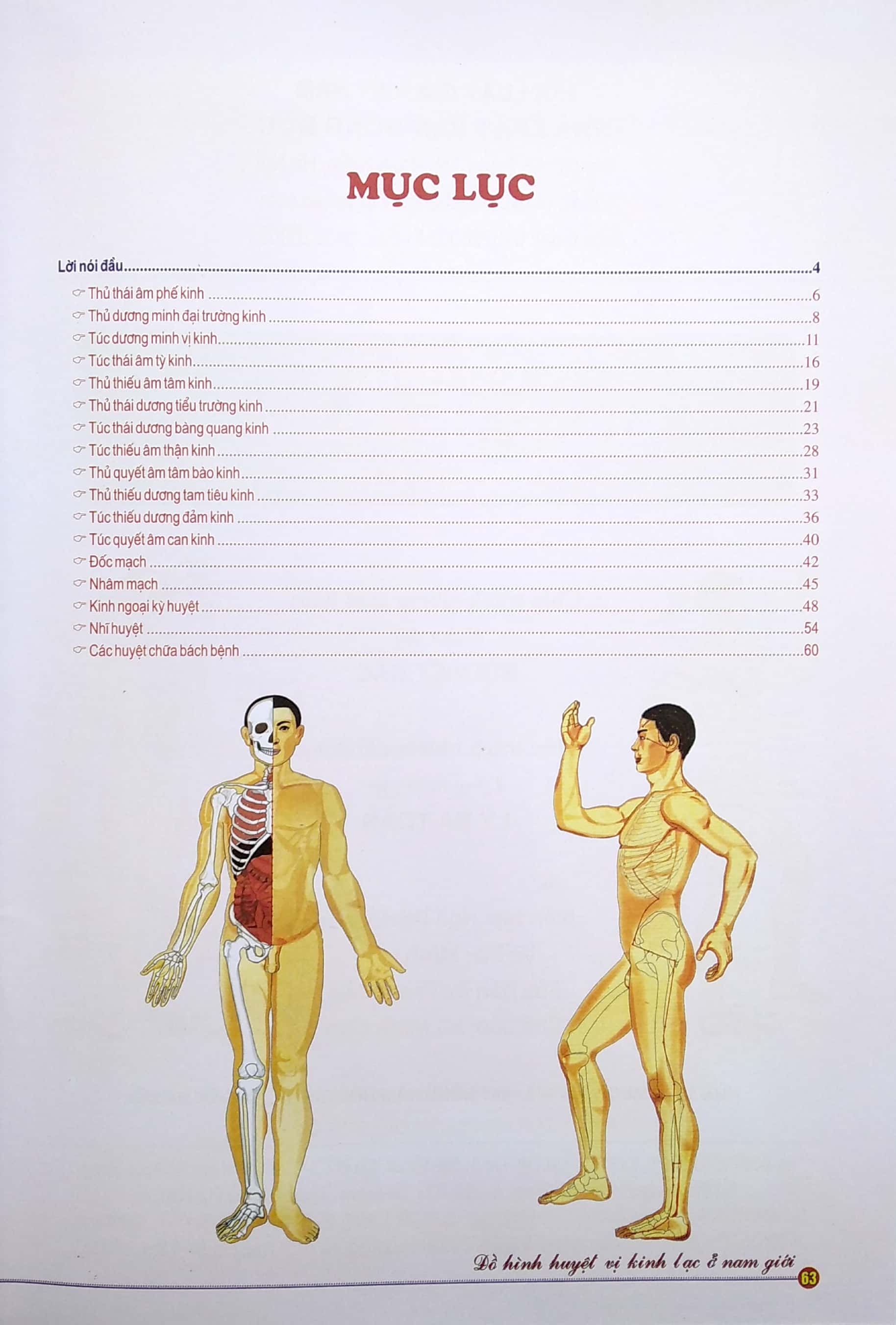 Đồ Hình Huyệt Vị Kinh Lạc Ở Nam Giới PDF