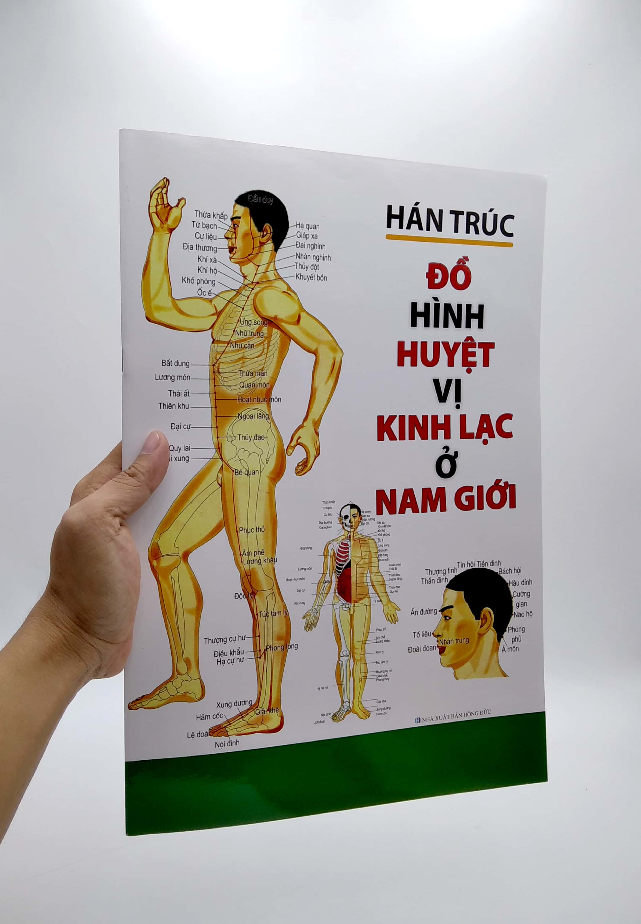 Đồ Hình Huyệt Vị Kinh Lạc Ở Nam Giới PDF