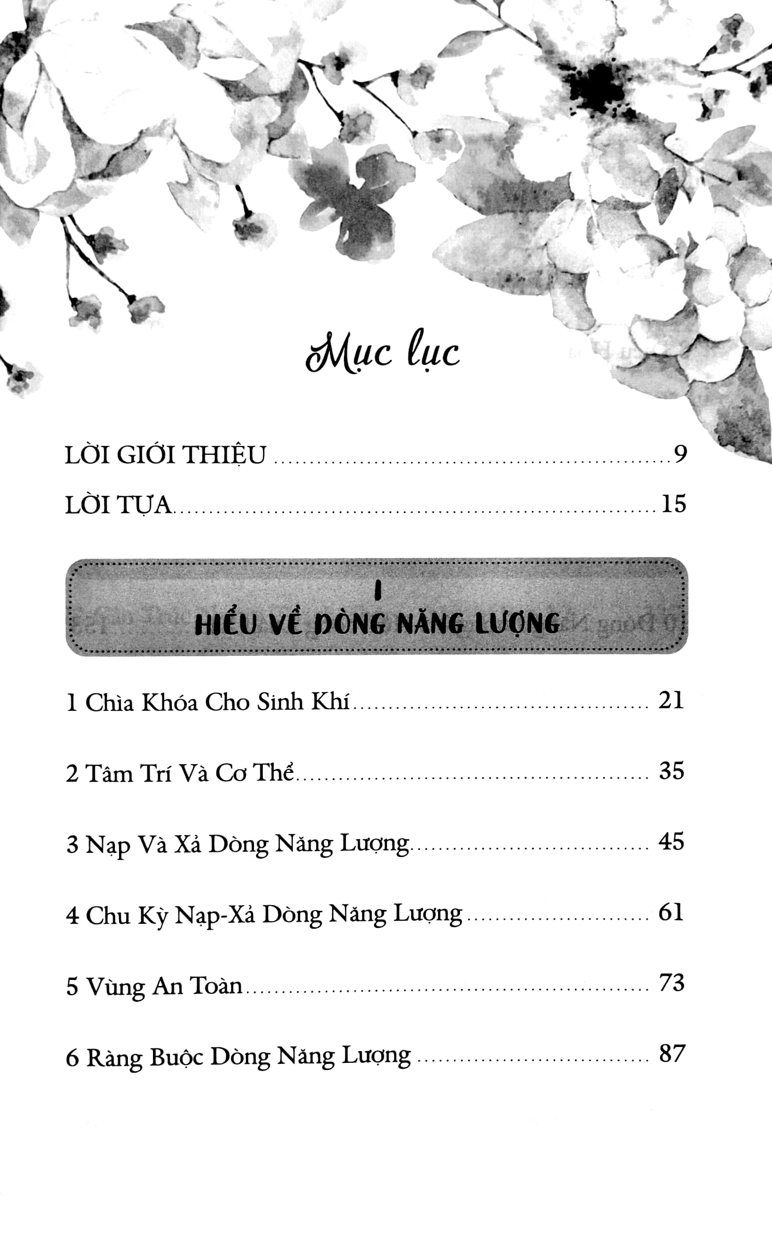 Dòng Năng Lượng Sinh Khí PDF Dòng Năng Lượng Sinh Khí PDF