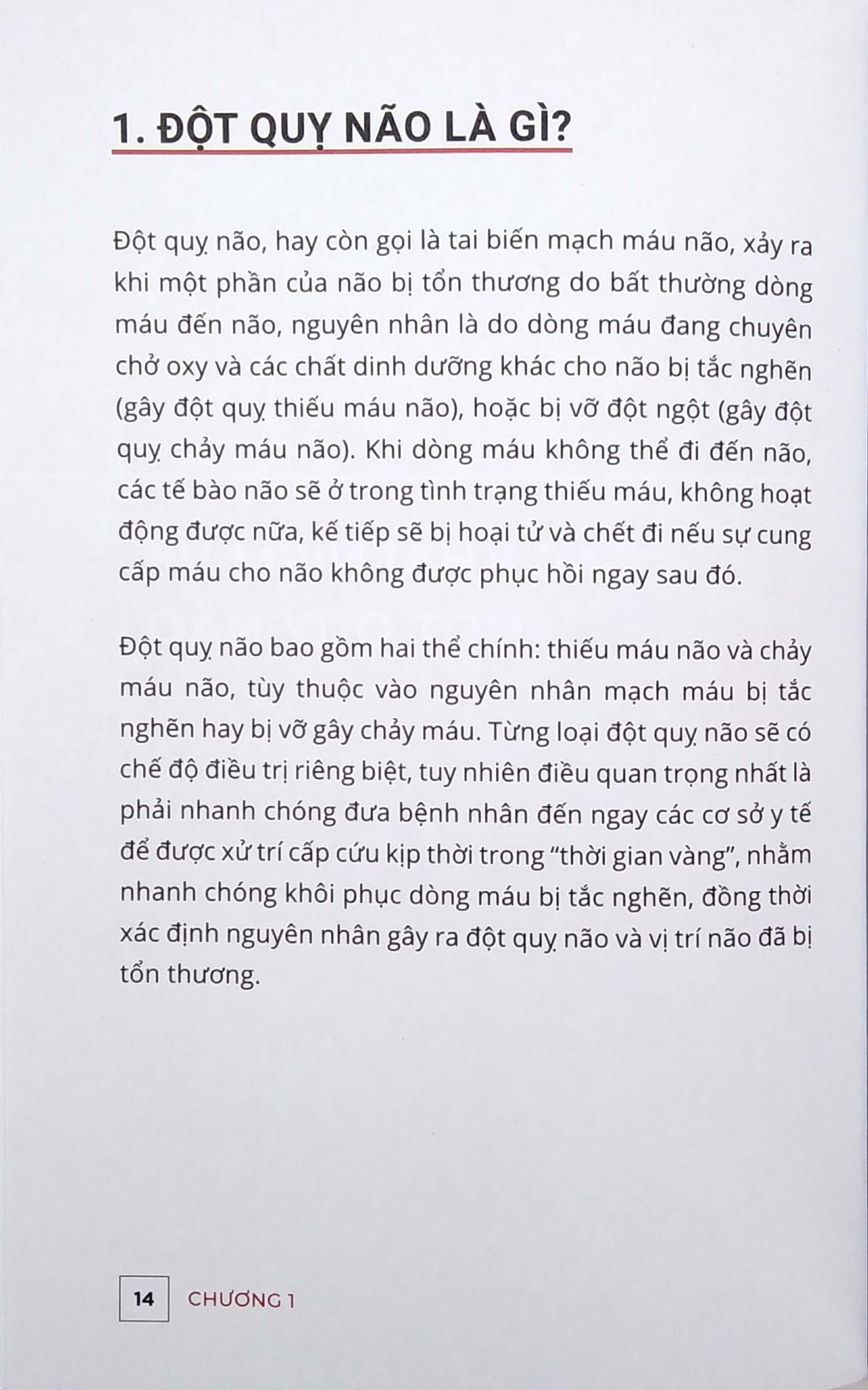 Đột Quỵ Não - Những Nguyên Tắc Vàng Trong Dự Phòng Và Chăm Sóc Đột Quỵ PDF