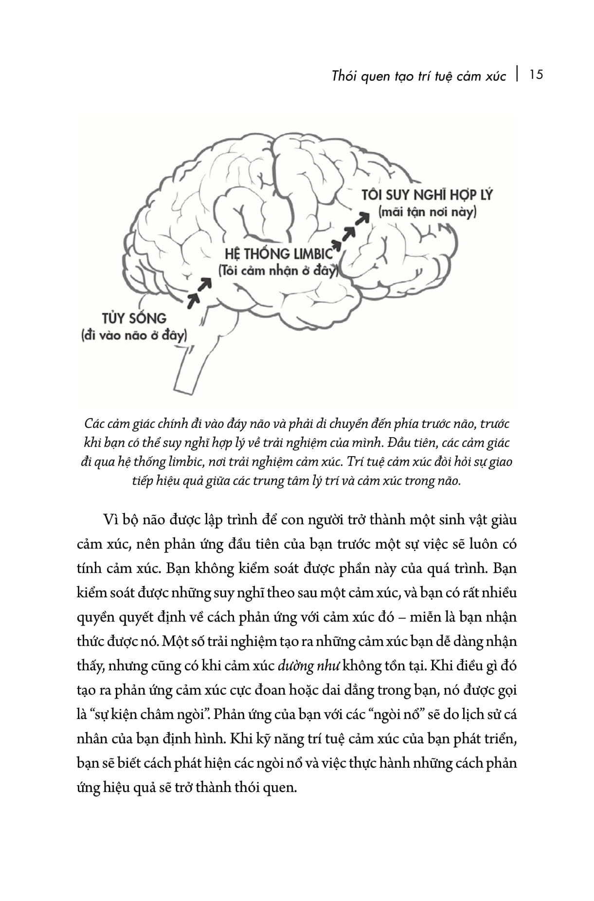 EQ Đỉnh Cao - Emotional Intelligence Habits - Thay Đổi Thói Quen, Làm Chủ Cuộc Đời PDF EQ Đỉnh Cao - Emotional Intelligence Habits - Thay Đổi Thói Quen, Làm Chủ Cuộc Đời PDF