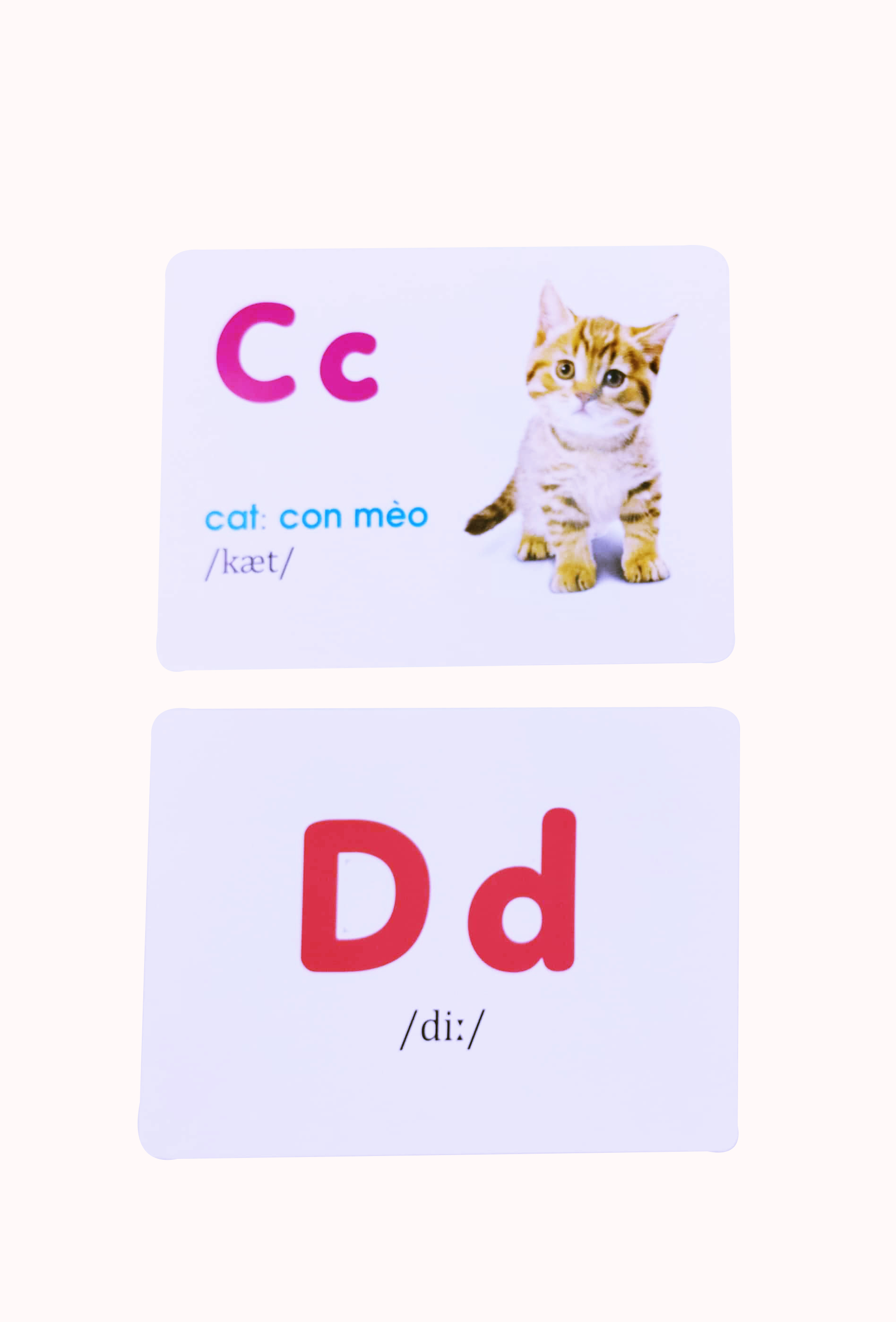 Sách Flash Card Glenn Doman Thế Giới Quanh Em Bảng Chữ Cái Tiếng