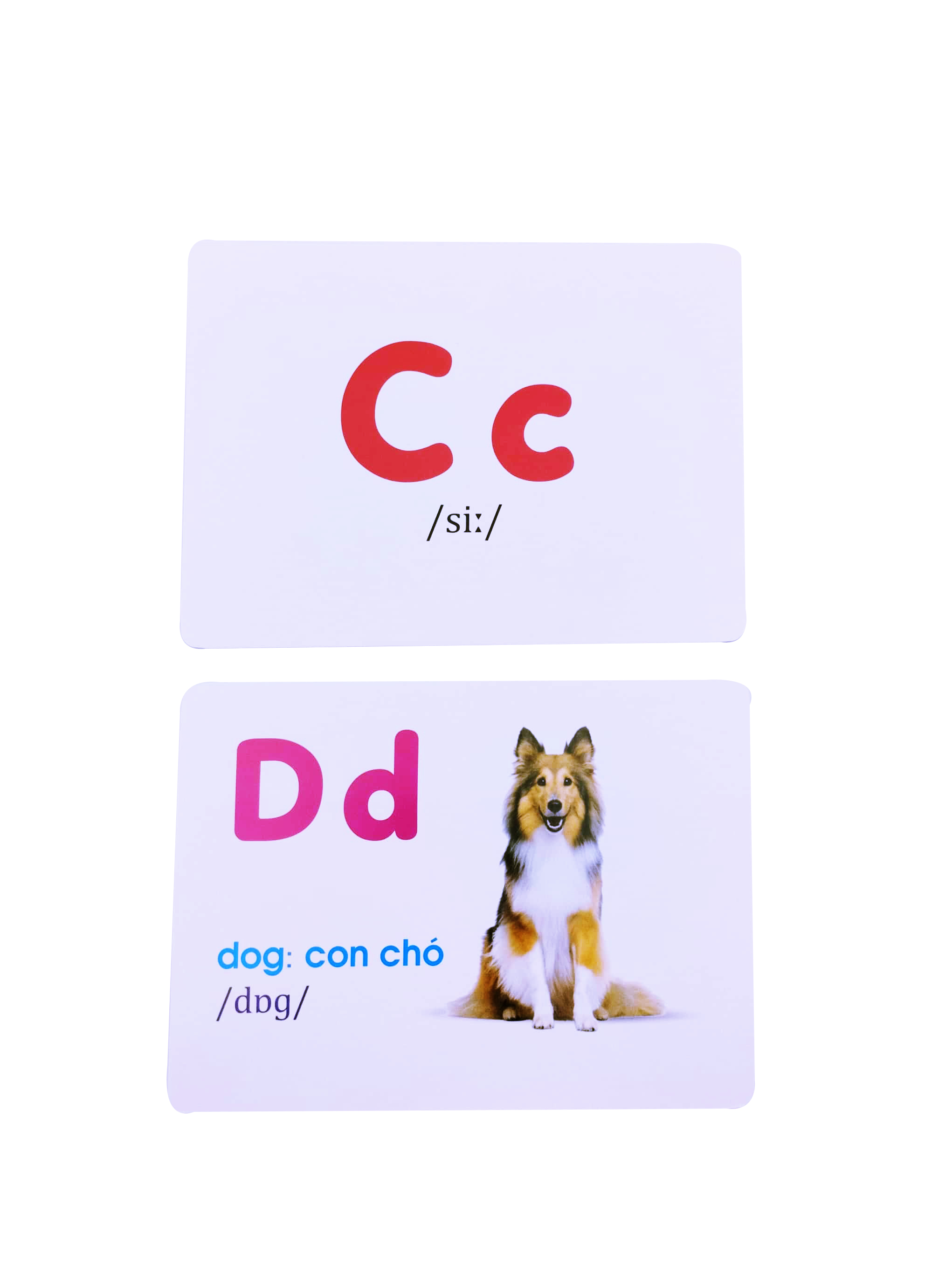 Sách Flash Card Glenn Doman Thế Giới Quanh Em Bảng Chữ Cái Tiếng