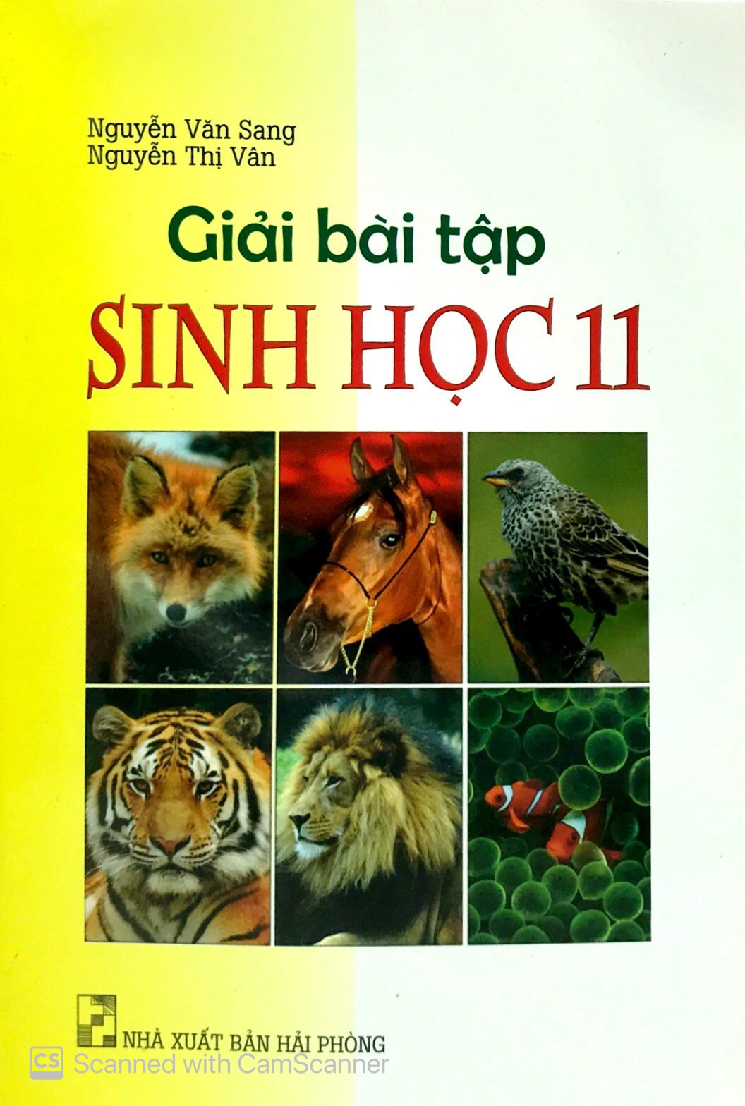 Tải sách Giải Bài Tập Sinh Học 11 PDF đọc ebook online, epub online, nghe sách nói audio miễn phí.