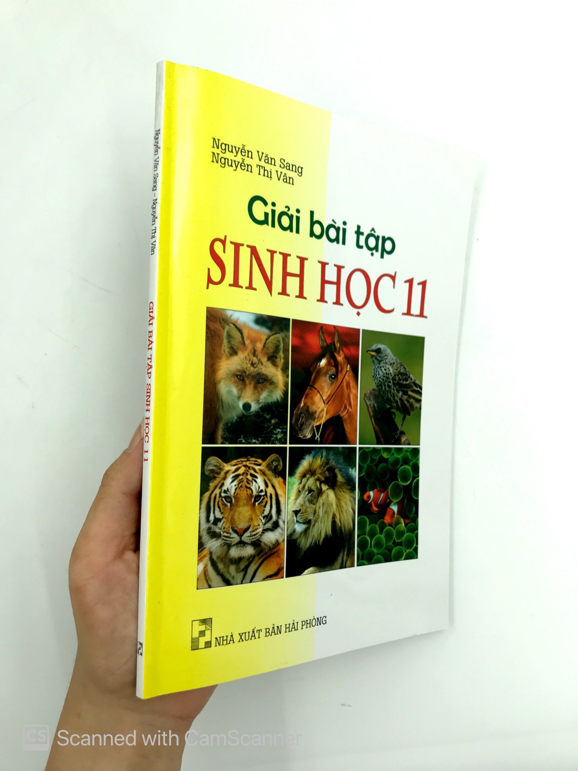 Tải sách Giải Bài Tập Sinh Học 11 PDF đọc ebook online, epub online, nghe sách nói audio miễn phí.