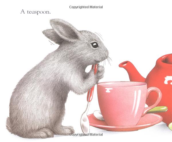Little Rabbits Gray Rabbit's Odd One Out