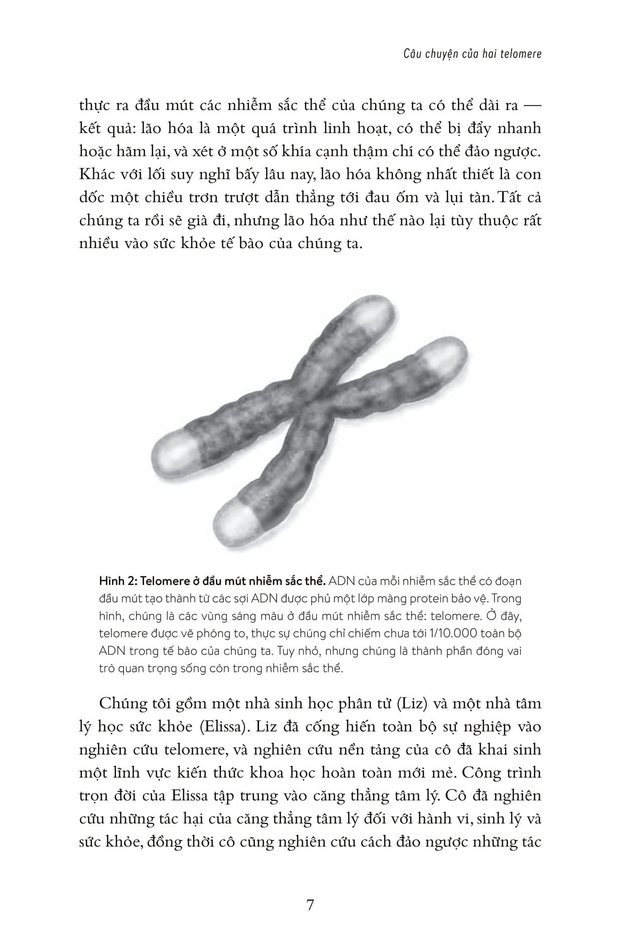Hiệu Ứng Telomere: Giải Pháp Đột Phá Để Sống Trẻ, Khỏe, Và Ngăn Ngừa Lão Hóa PDF Hiệu Ứng Telomere: Giải Pháp Đột Phá Để Sống Trẻ, Khỏe, Và Ngăn Ngừa Lão Hóa PDF