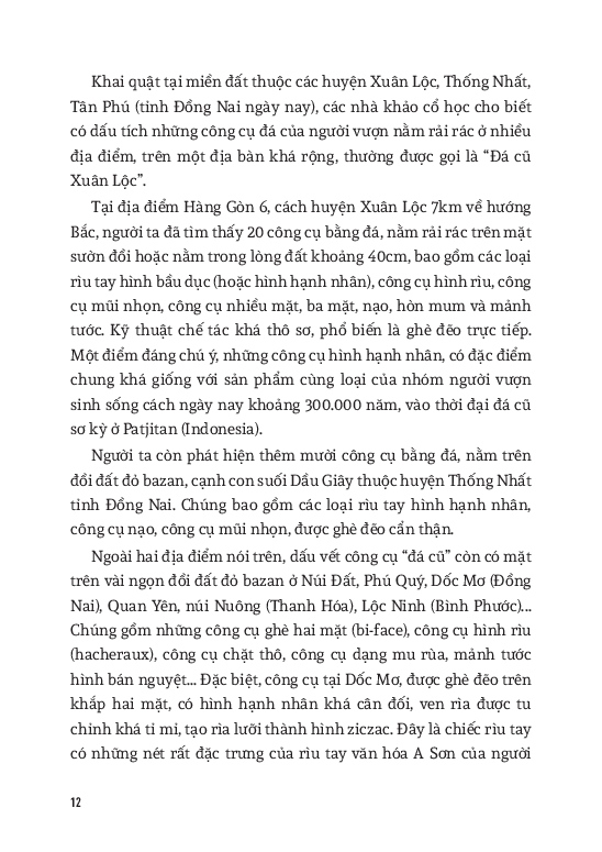 Hỏi Đáp Lịch Sử Việt Nam - Tập 1 - Từ Khởi Thủy Đến Thế Kỷ X PDF