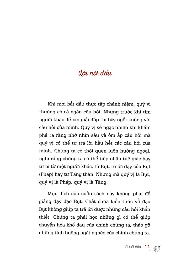 Hỏi Đáp Từ Trái Tim 2024 PDF Hỏi Đáp Từ Trái Tim 2024 PDF