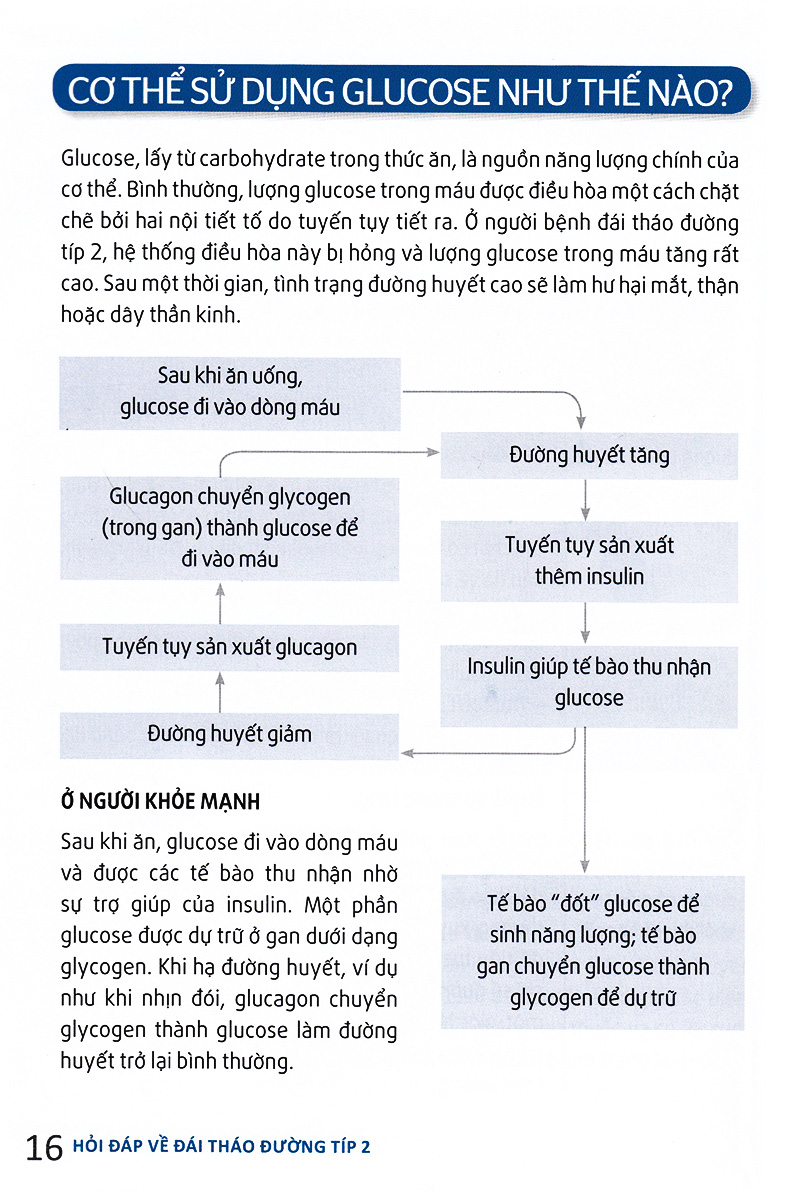 Hỏi Đáp Về Đái Tháo Đường Típ 2 PDF Hỏi Đáp Về Đái Tháo Đường Típ 2 PDF