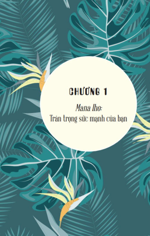 Ho’oponopono: Sống Như Người Hawaii – Chấp Nhận, Biết Ơn Và Tha Thứ - Hình 2