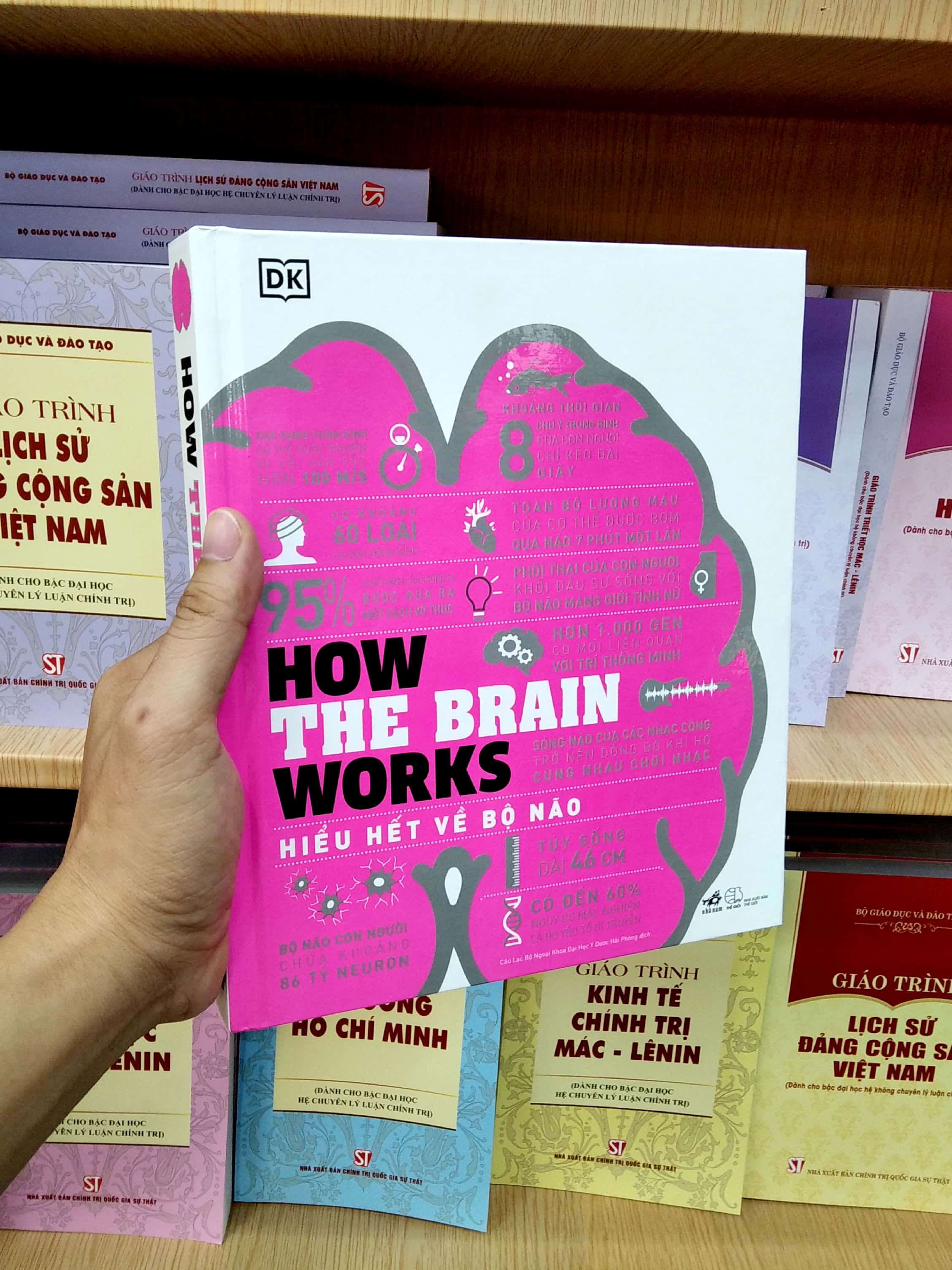 How The Brain Works - Hiểu Hết Về Bộ Não PDF How The Brain Works - Hiểu Hết Về Bộ Não PDF