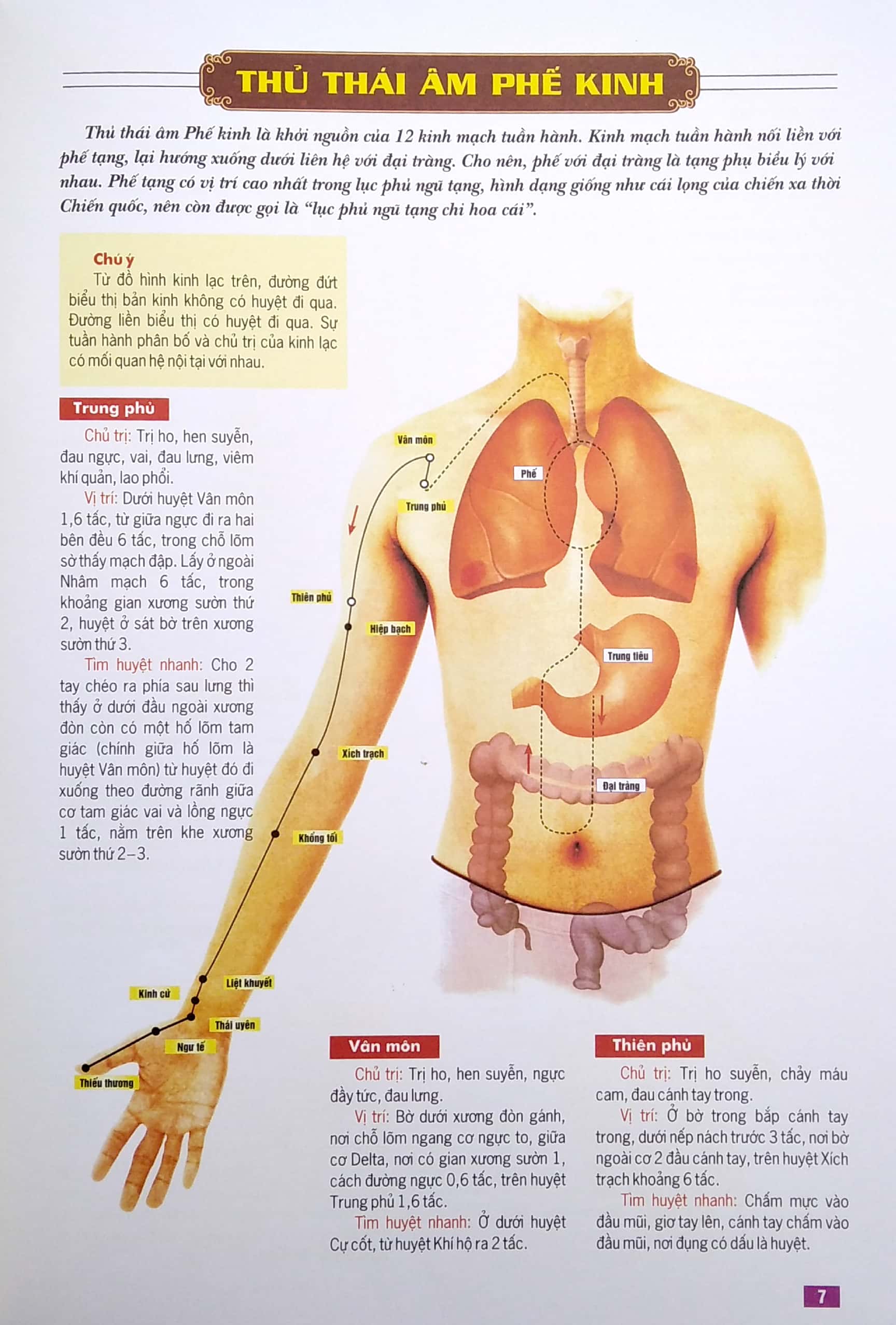 Huyệt Vị Kinh Lạc Cơ Thể Người PDF đọc ebook online, epub online, nghe sách nói audio miễn phí. Huyệt Vị Kinh Lạc Cơ Thể Người PDF đọc ebook online, epub online, nghe sách nói audio miễn phí.