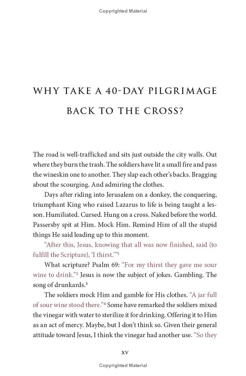 It Is Finished: A 40-Day Pilgrimage Back To The Cross PDF đọc ebook online, epub online, nghe sách nói audio miễn phí.