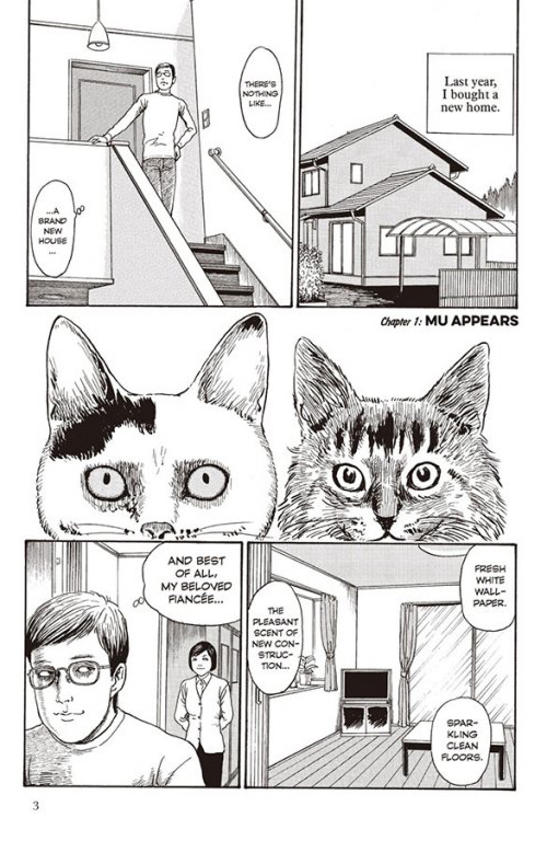 Junji Ito's Cat Diary Yon And Mu Junji Ito's Cat Diary: Yon & Mu Collector's Edition - FAHASA.COM