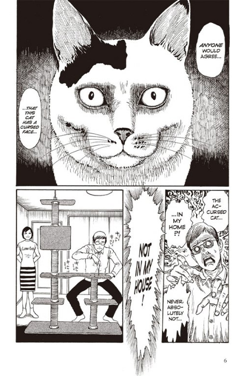 Junji Ito's Cat Diary Yon And Mu Junji Ito's Cat Diary: Yon & Mu Collector's Edition - FAHASA.COM