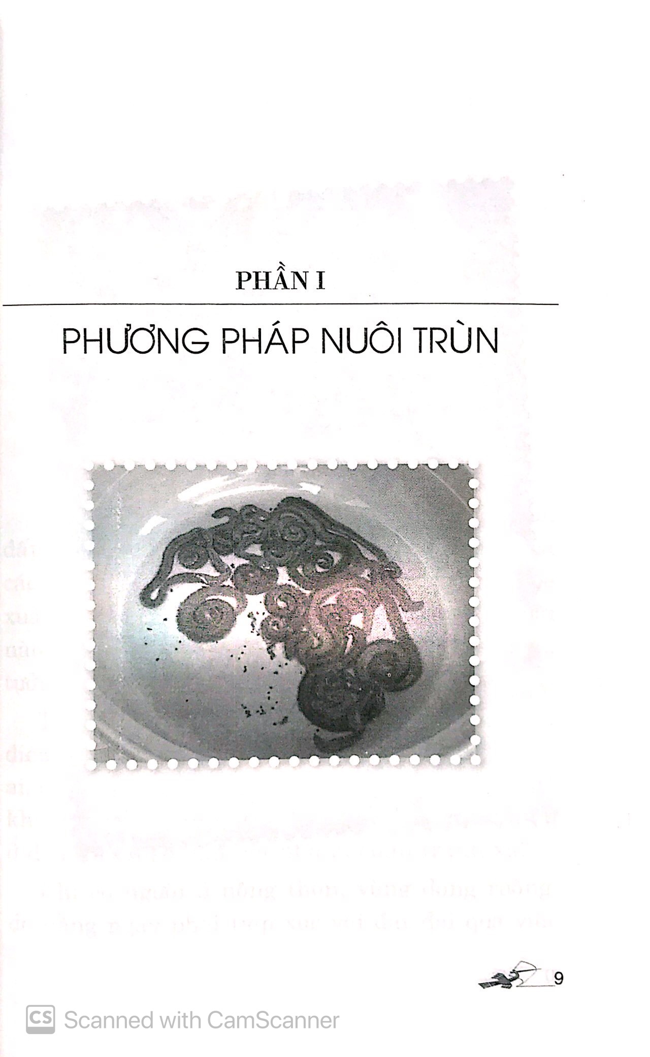 Kỹ Thuật Nuôi Trùn Giòi - Tạo Nguồn Thực Phẩm Bổ Dưỡng Cho Gia Cầm - Gia Súc PDF