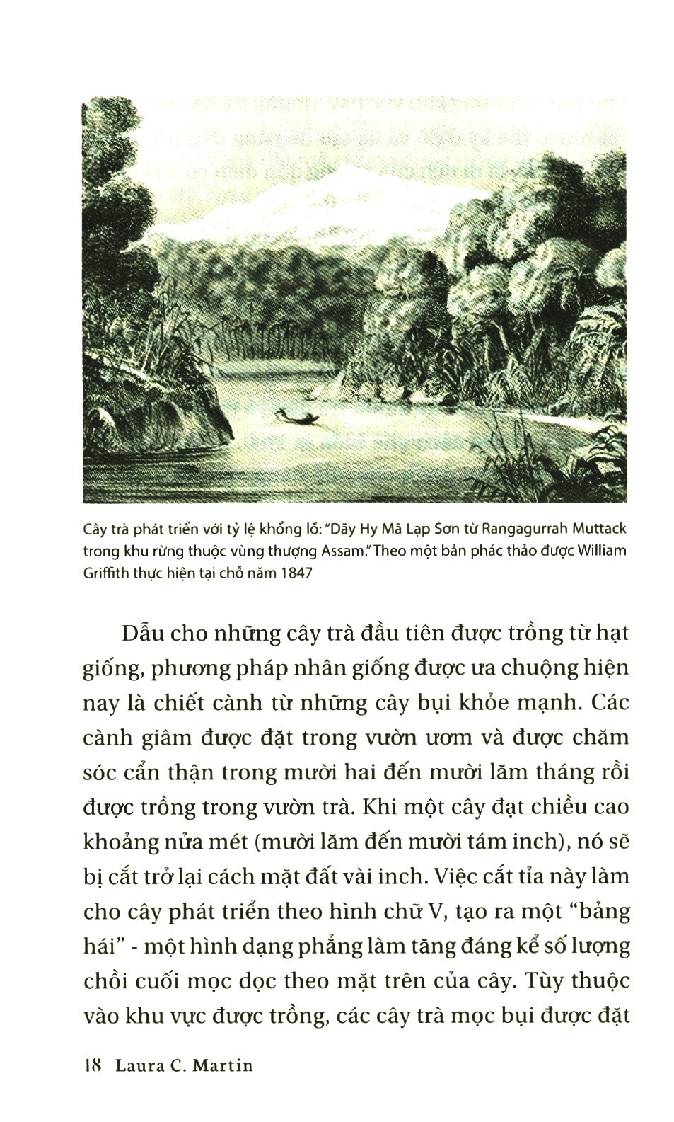 Lịch Sử Của Trà PDF đọc ebook online, epub online, nghe sách nói audio miễn phí. Tải sách Lịch Sử Của Trà PDF đọc ebook online, epub online, nghe sách nói audio miễn phí.