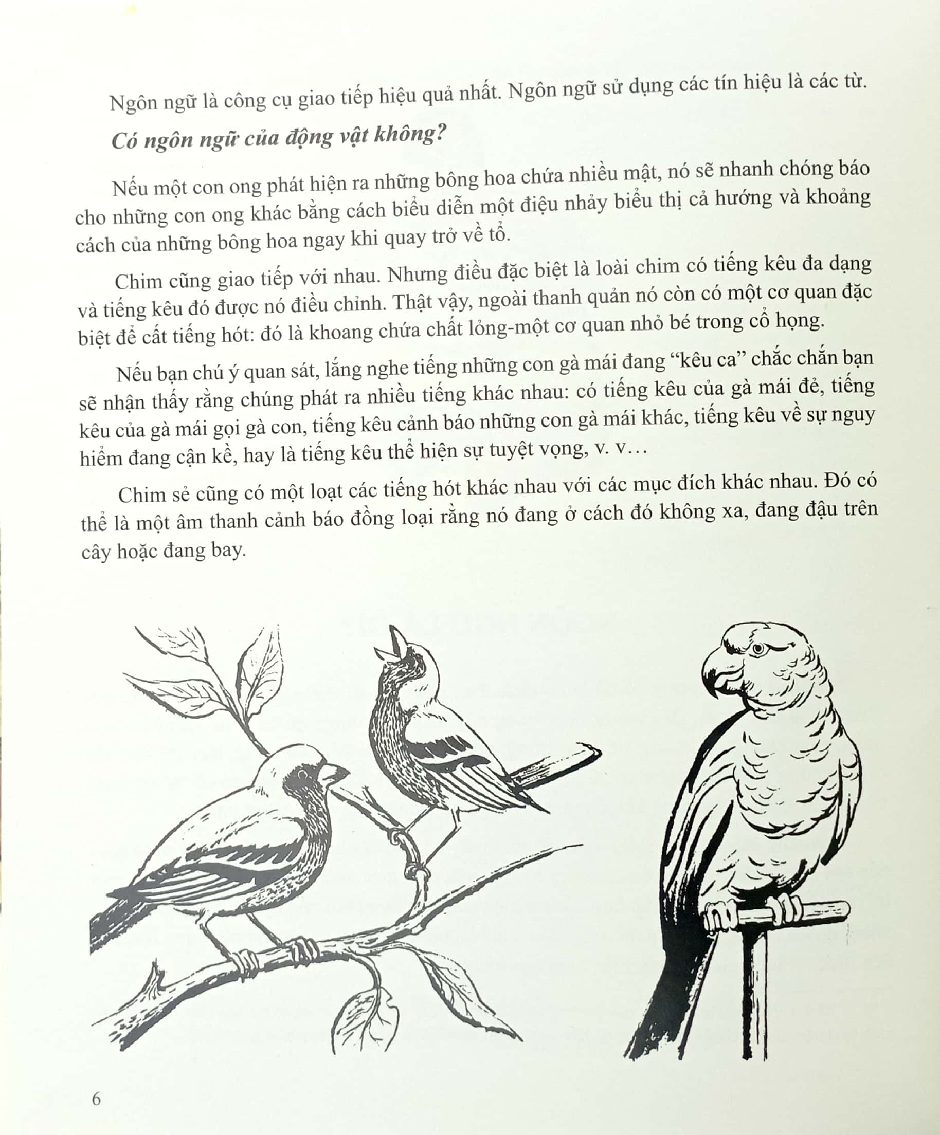 Lịch Sử Hành Trình Và Phát Triển Ngôn Ngữ PDF đọc ebook online, epub online, nghe sách nói audio miễn phí.