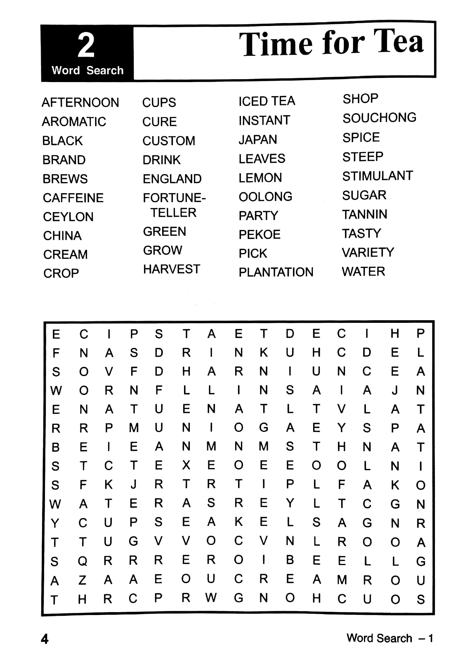 Magnificant Word Search Book 1