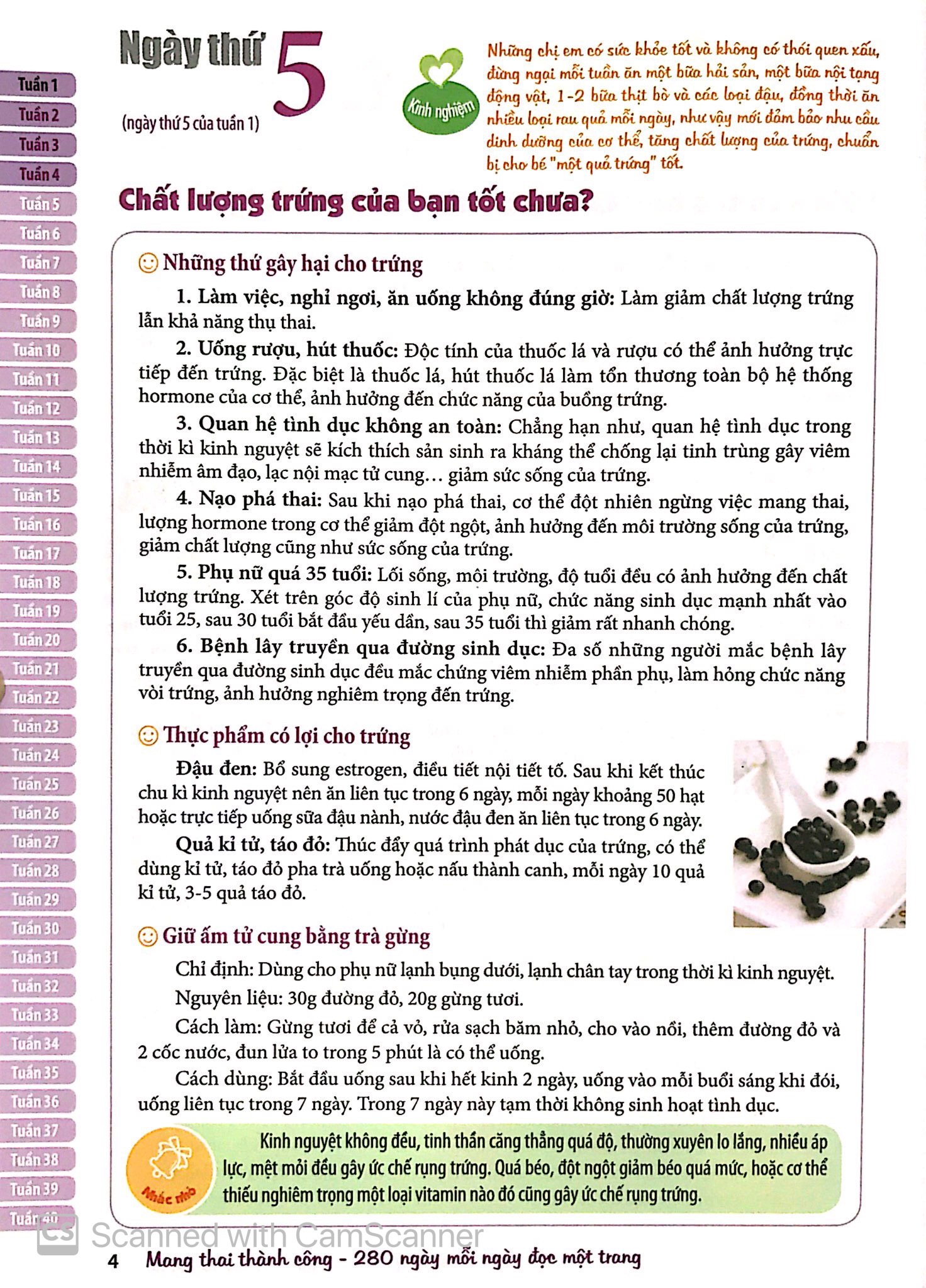 Mang Thai Thành Công 280 Ngày - Mỗi Ngày Đọc Một Trang PDF