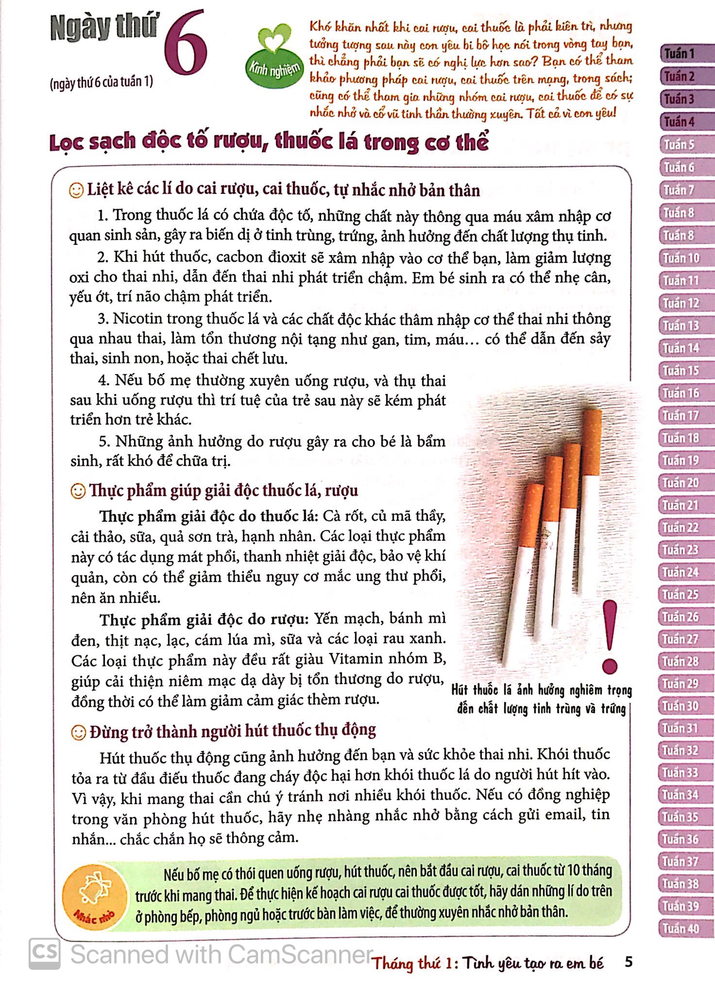 Mang Thai Thành Công 280 Ngày - Mỗi Ngày Đọc Một Trang PDF