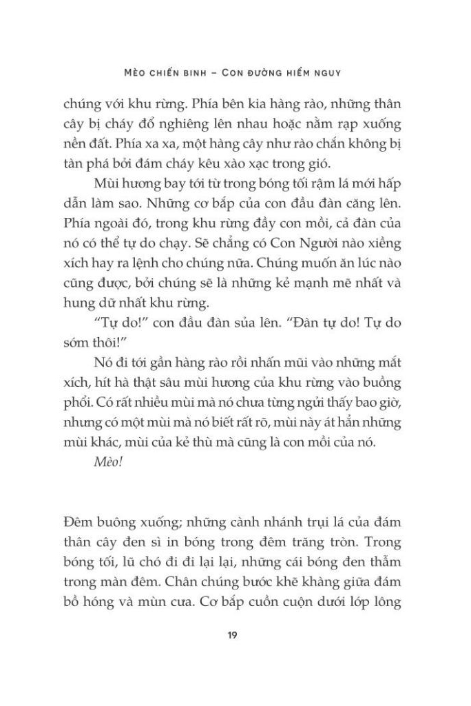 Mèo Chiến Binh - Con Đường Hiểm Nguy PDF Mèo Chiến Binh - Con Đường Hiểm Nguy PDF